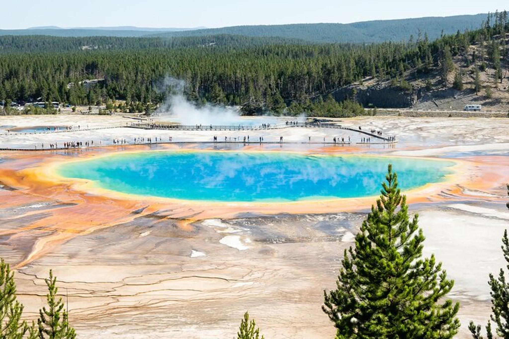 Yellowstone Wildlife and Scenic Sites Private Tour - Image 5