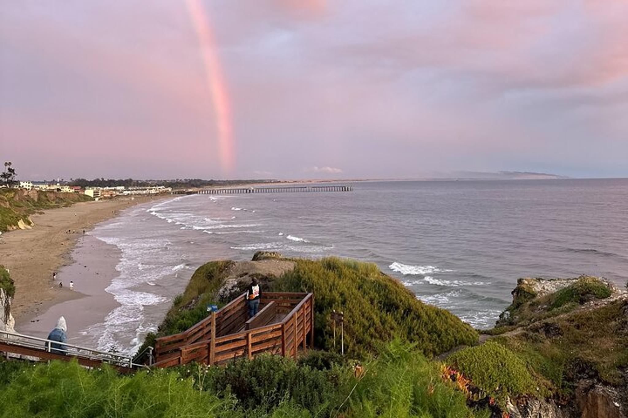 San Francisco Private Car Tour - Image 2