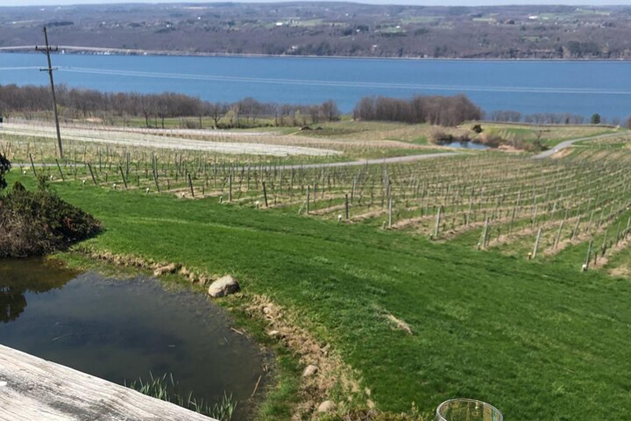 Seneca Lake Wine Tastings Tour - Image 3