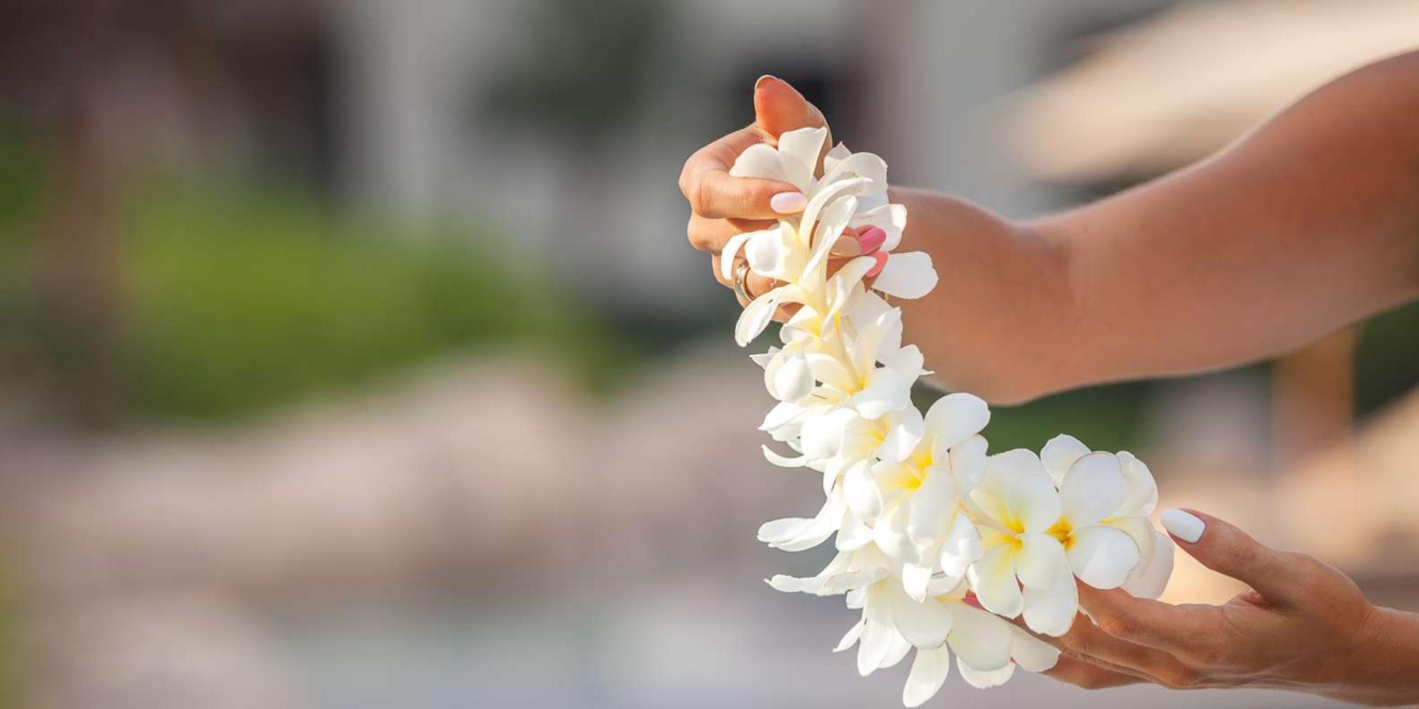 Maui Airport Traditional Lei Greeting - Image 5