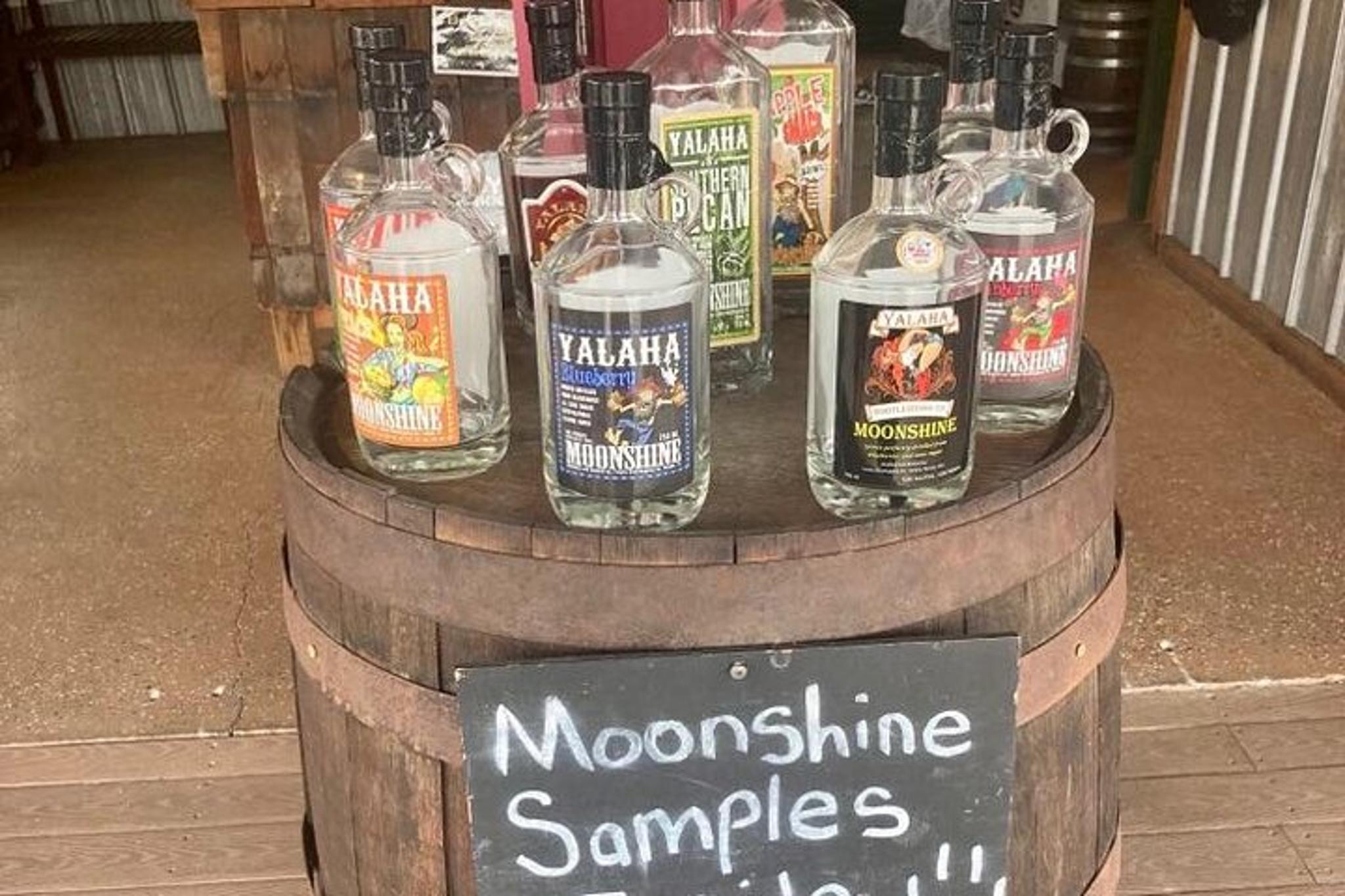 Orlando Wildlife Drive Eco Tour with Moonshine Tasting - Image 3