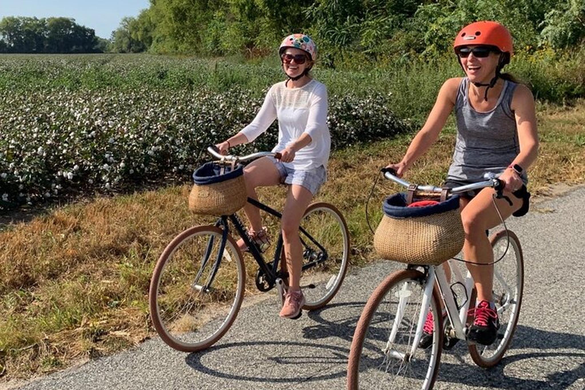 Richmond Vineyard Bicycle Tour 2 hr - Image 6