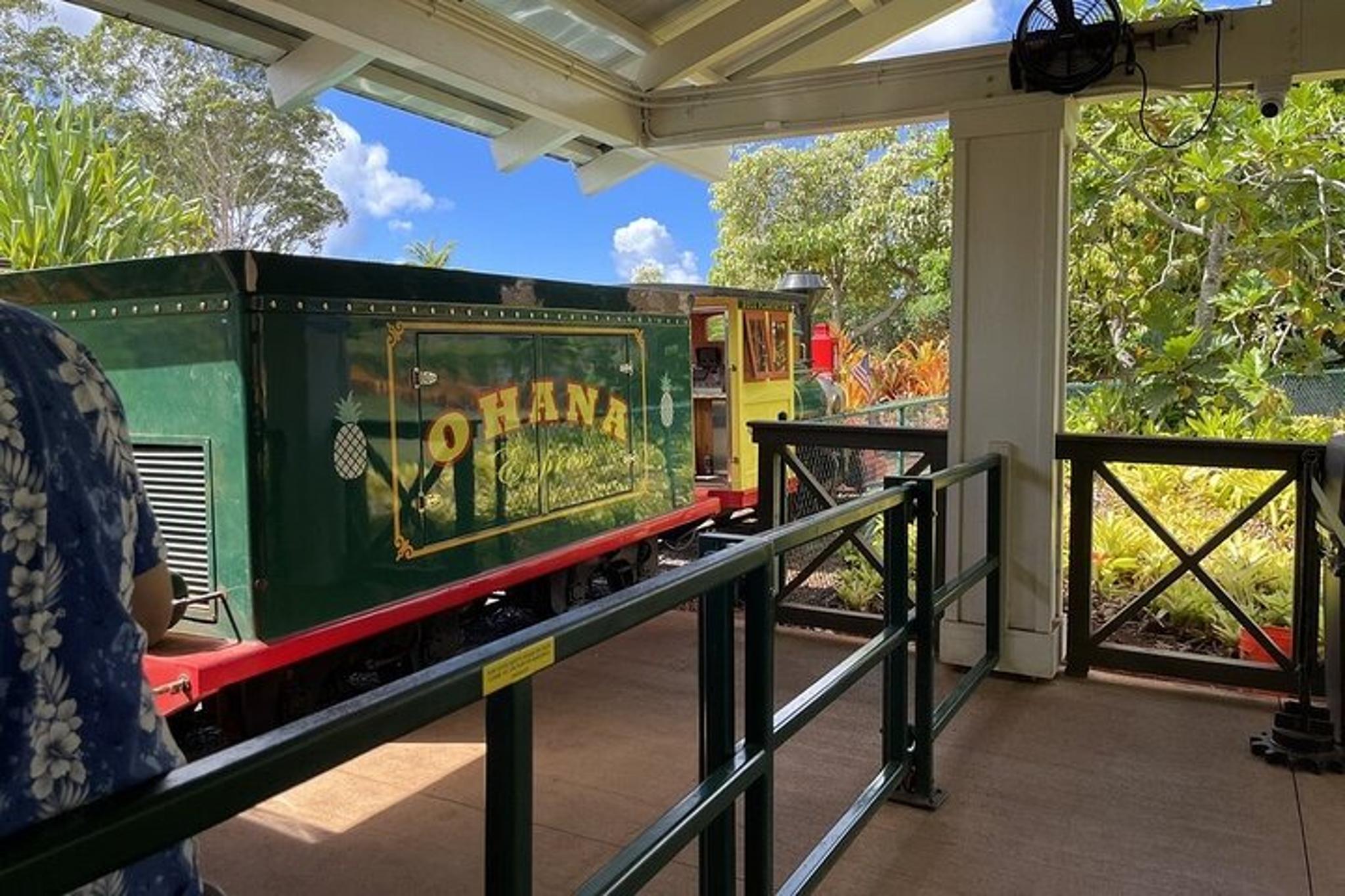 Oahu Turtle Snorkeling and Dole Plantation Tour - Image 6