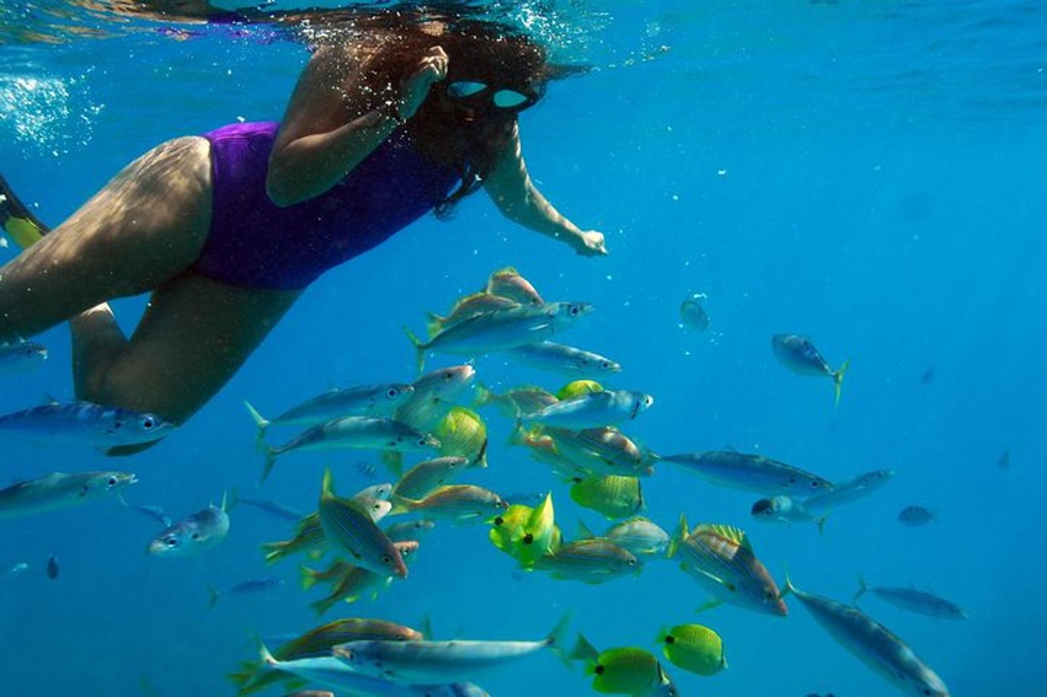 Ko Olina Catamaran Sail and Snorkel with Lunch