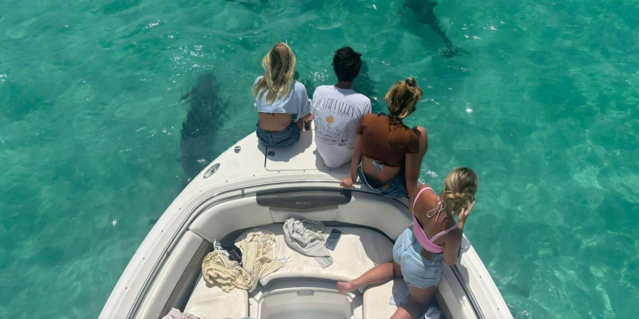 Key West Private Charter Sandbar Adventure - Image 3