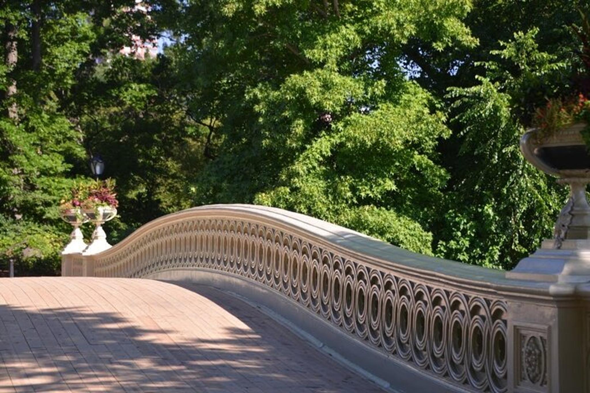 New York City Central Park Pedicab Tour - Image 6
