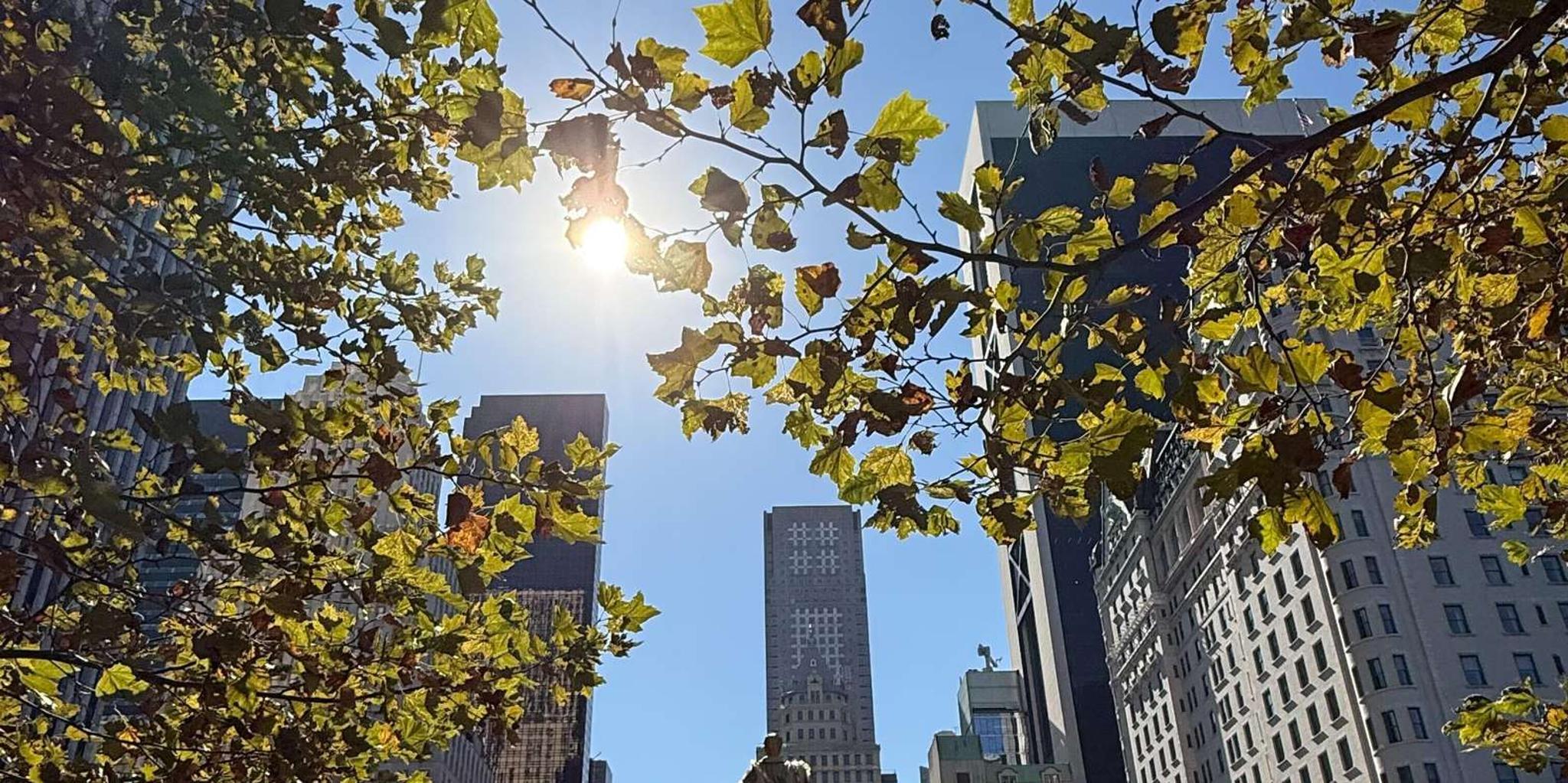 New York Central Park Selfie Tour with Photographer - Image 3