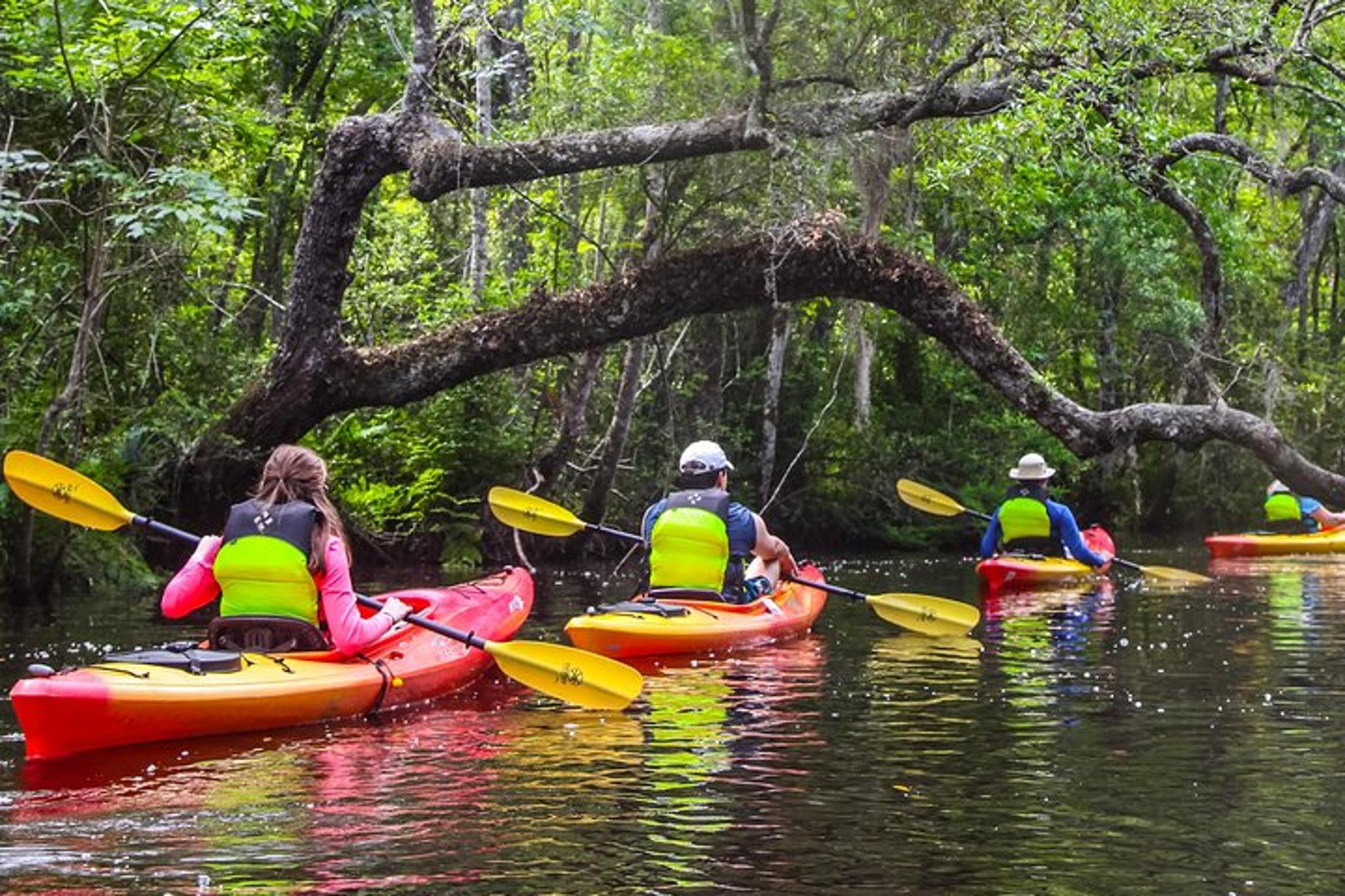 Amelia Island Kayak Tour of Lofton Creek