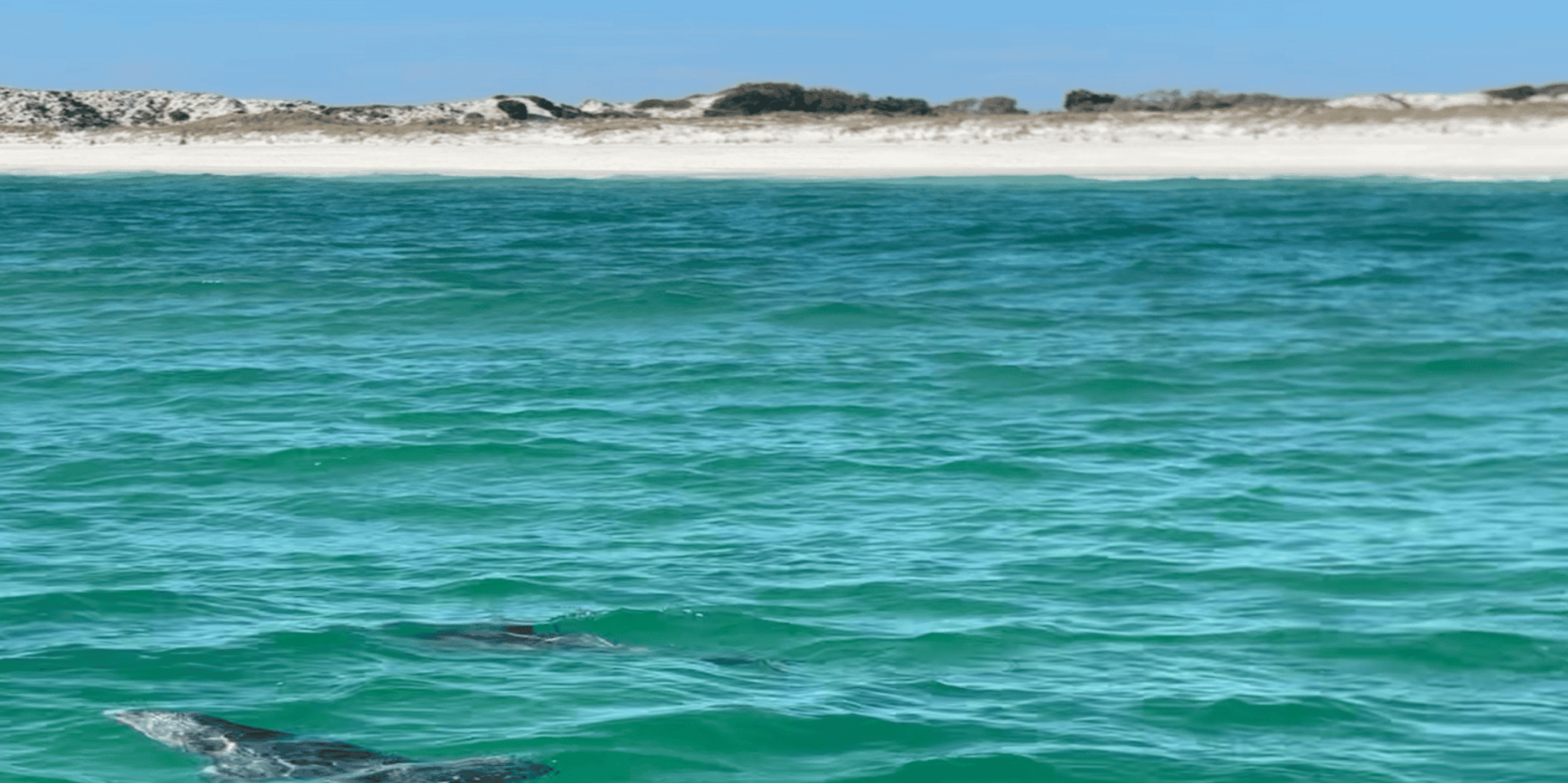 Panama City Beach Snorkel Excursion - Image 6