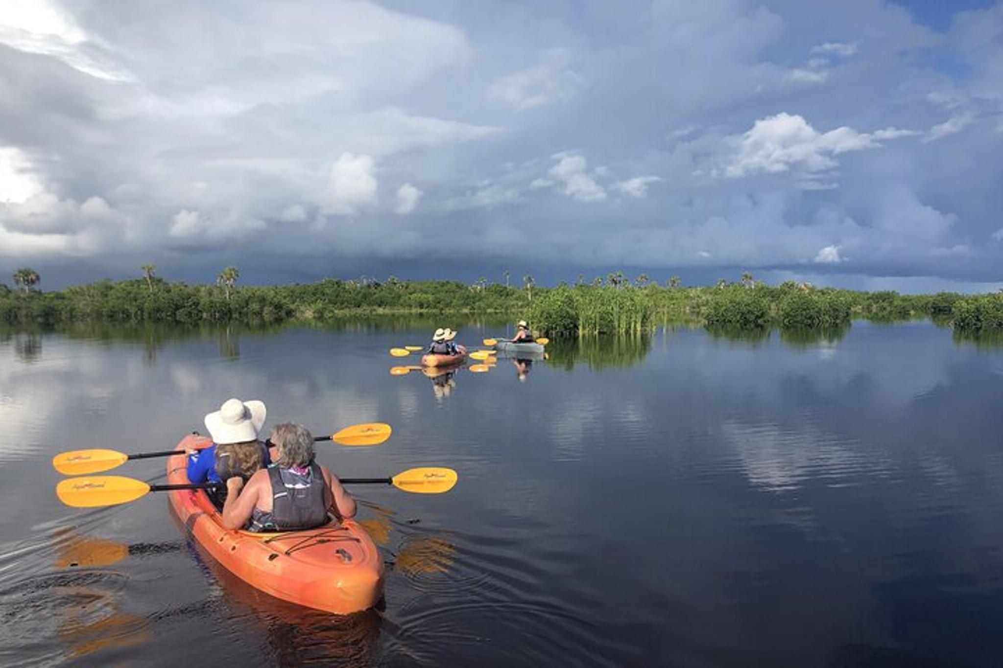 Naples Kayak Tour through Mangrove Tunnels - Image 3
