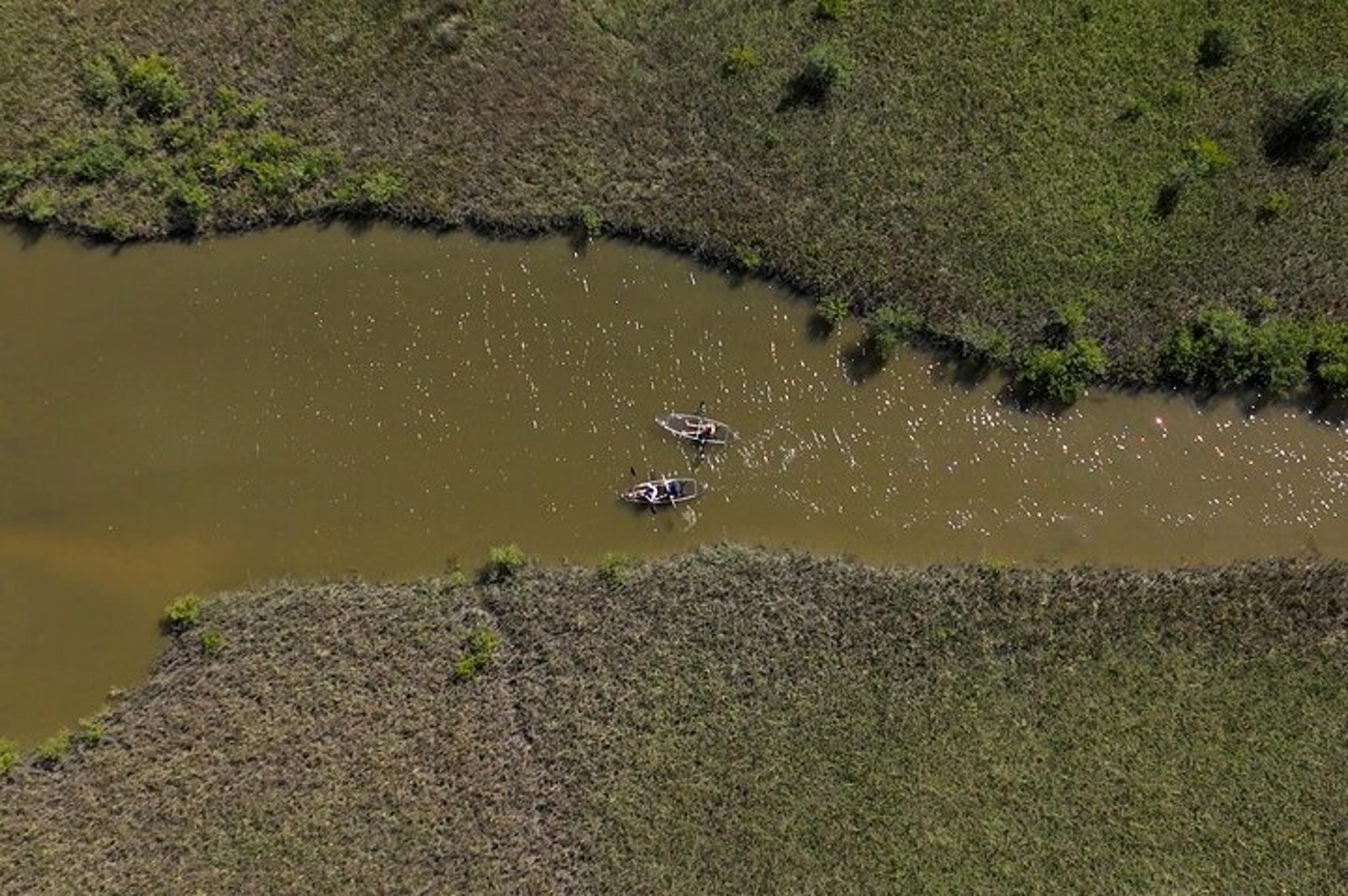 Flagler County Glass Bottom Eco Tour - Image 2