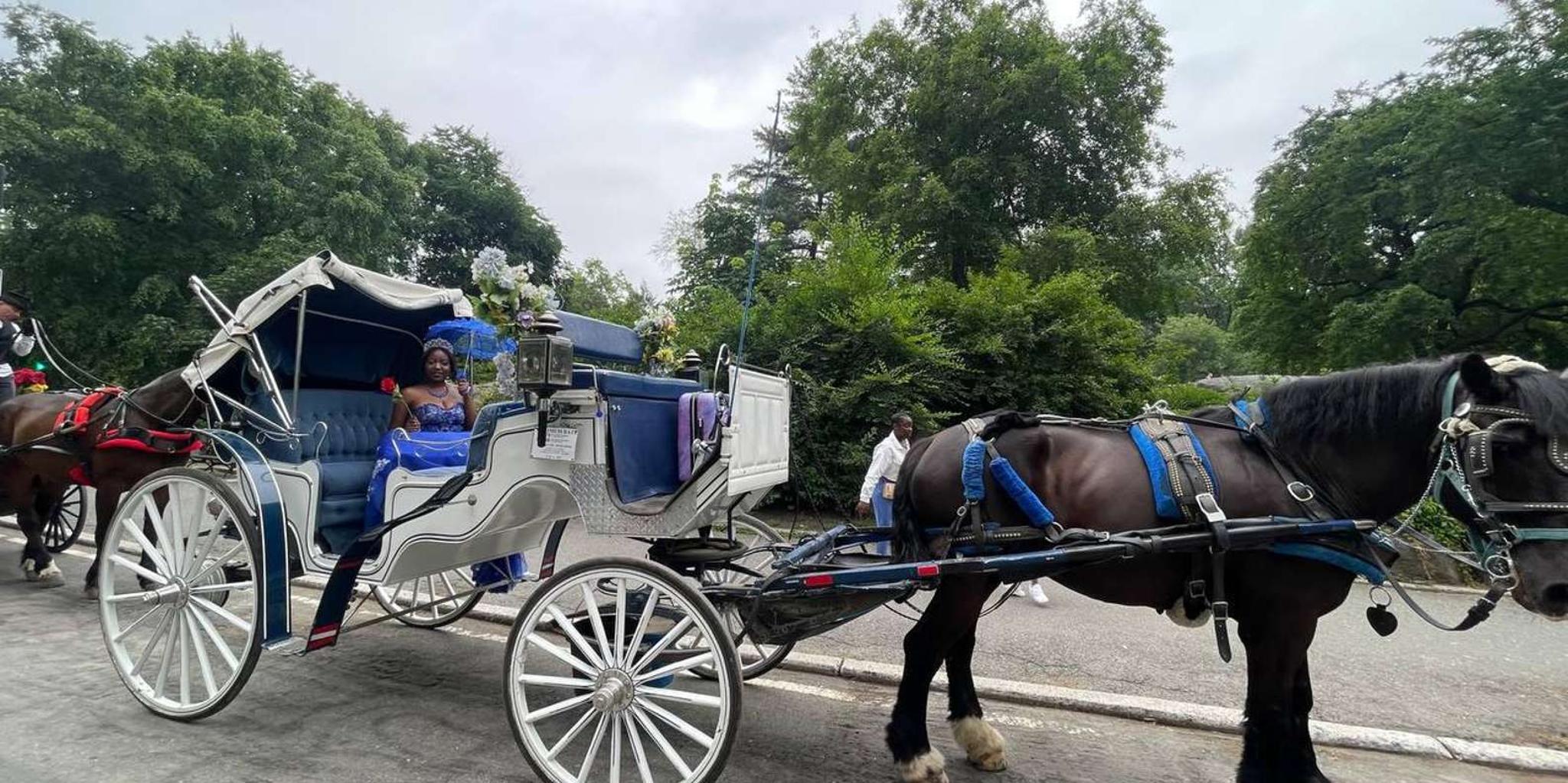 New York City Central Park Horse and Carriage Ride - Image 2