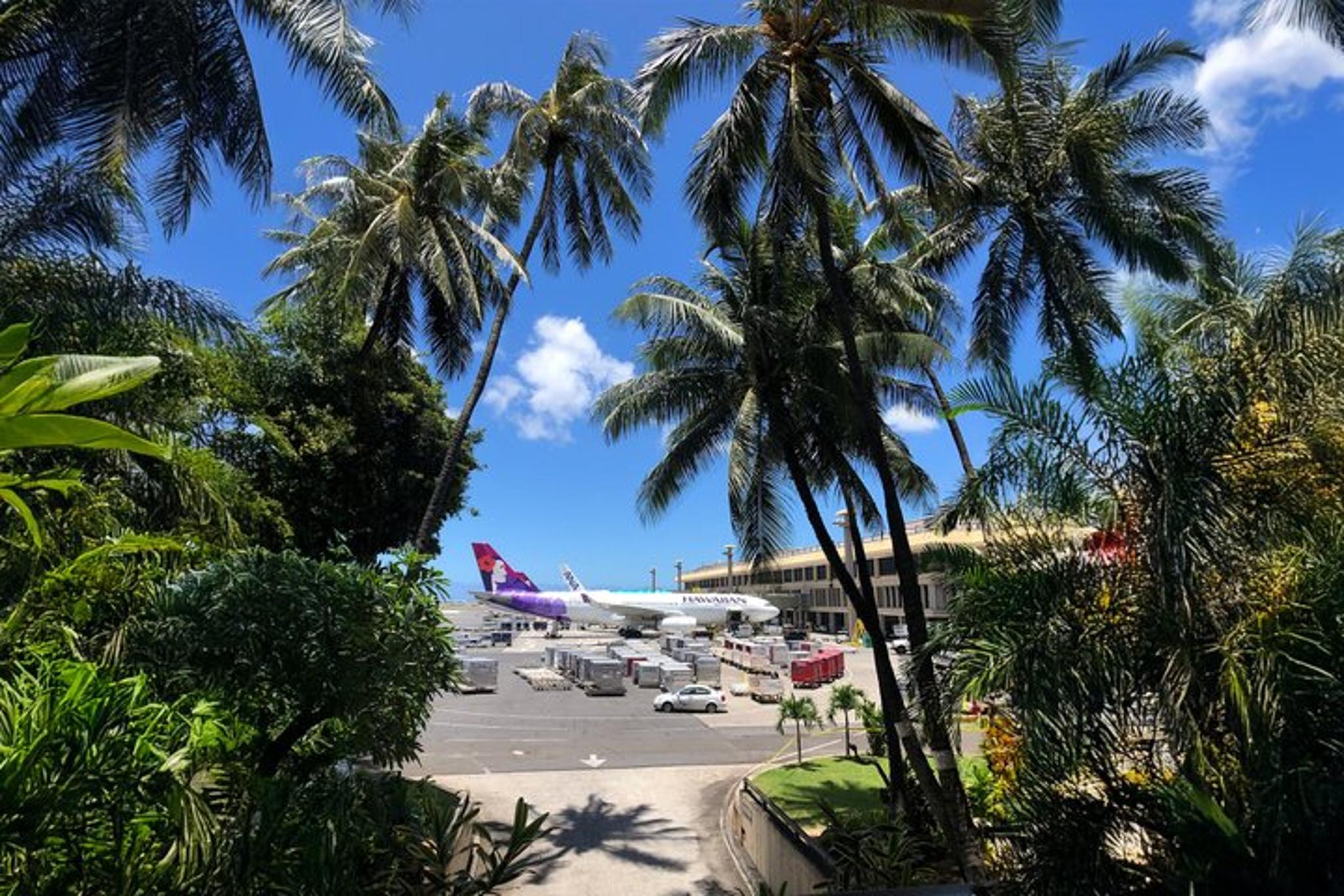 Honolulu Airport Custom Lei Greeting - Image 5