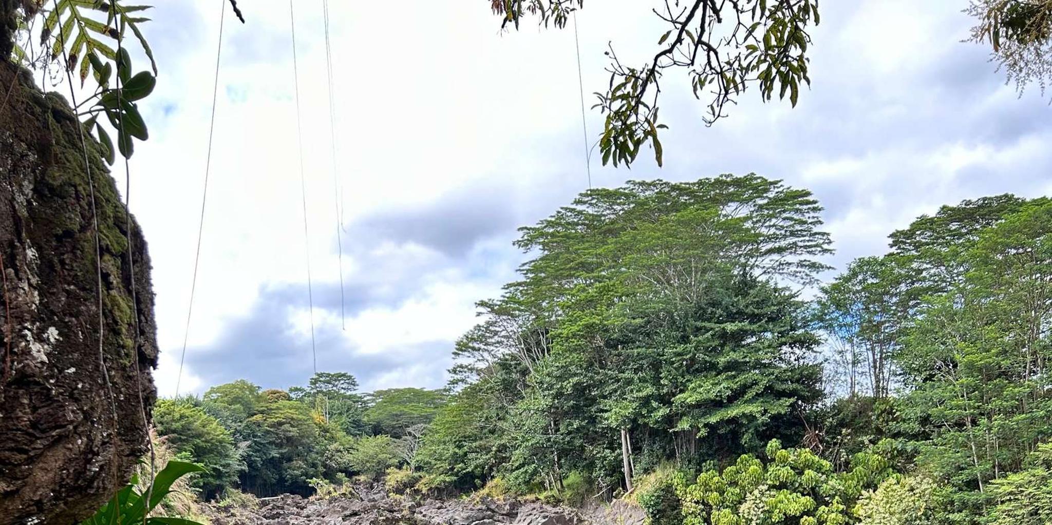 Hilo Volcanoes National Park Tour