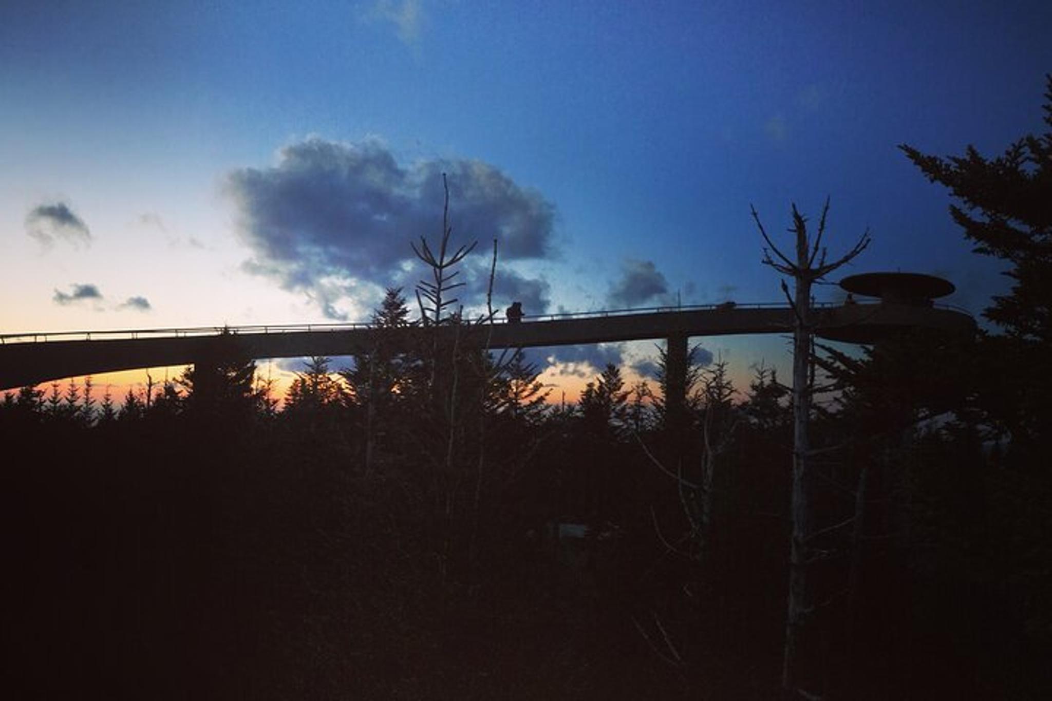 Clingmans Dome Hike - Image 2