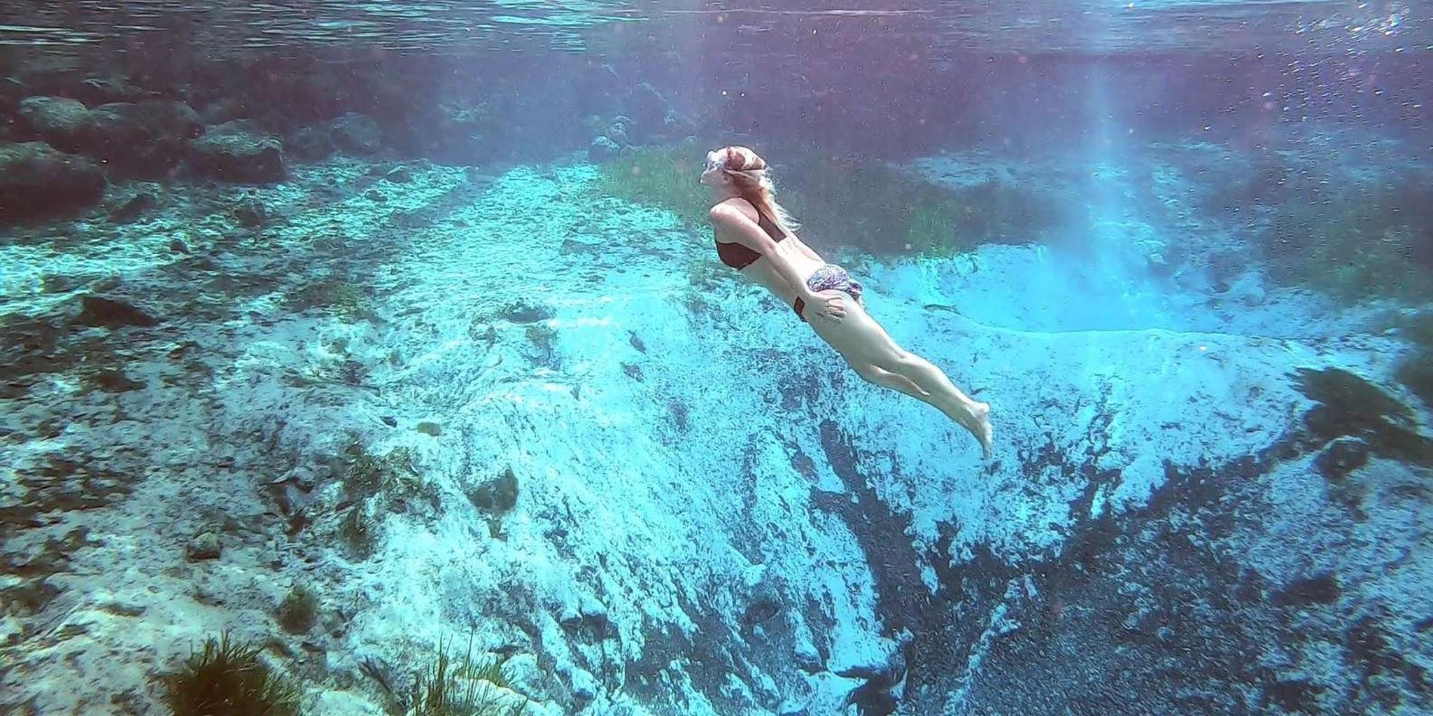 Crystal River Kayak and Swim Tour at Three Sisters Springs - Image 4