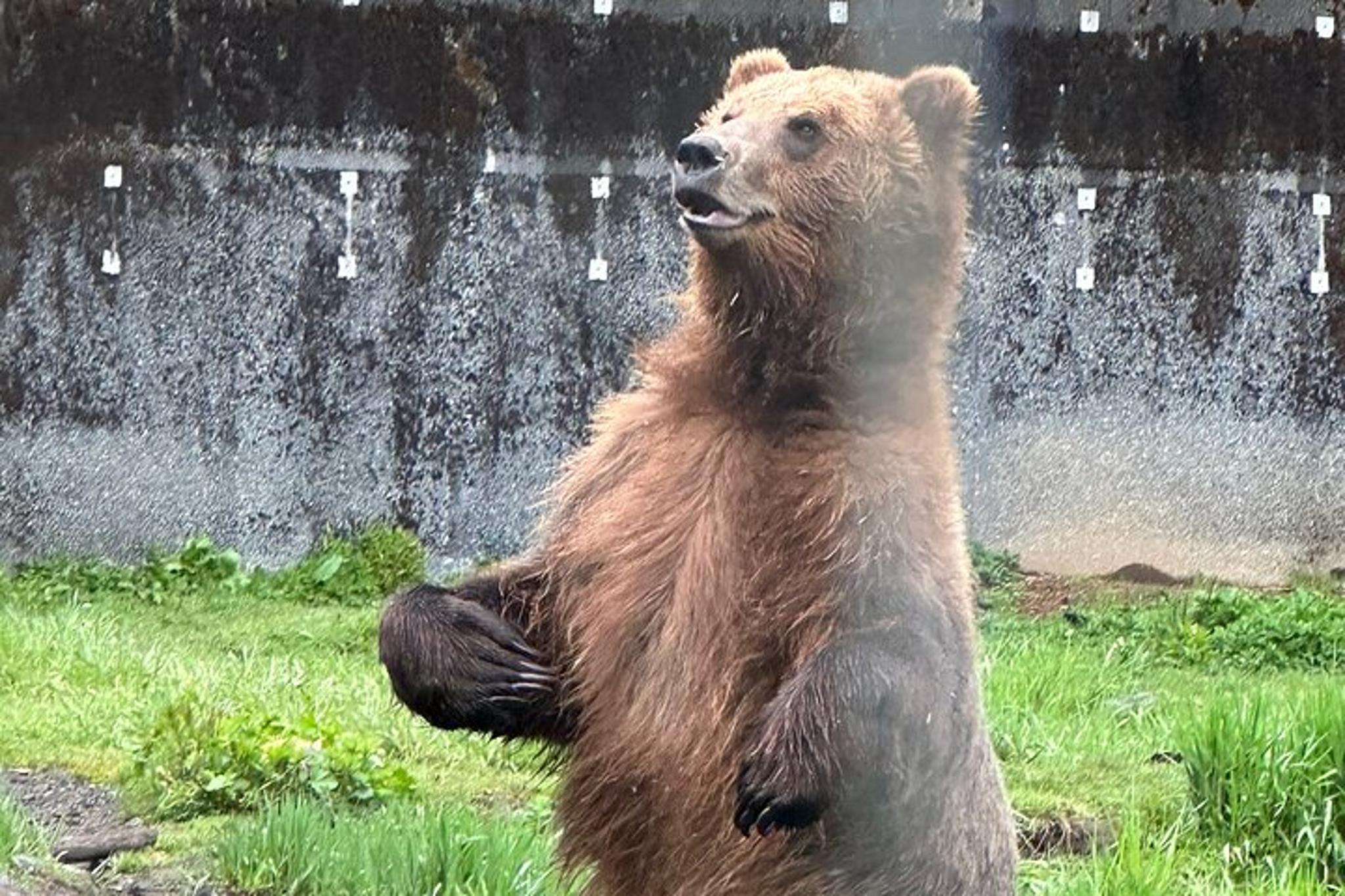 Sitka Scenic Private Tour - Image 5