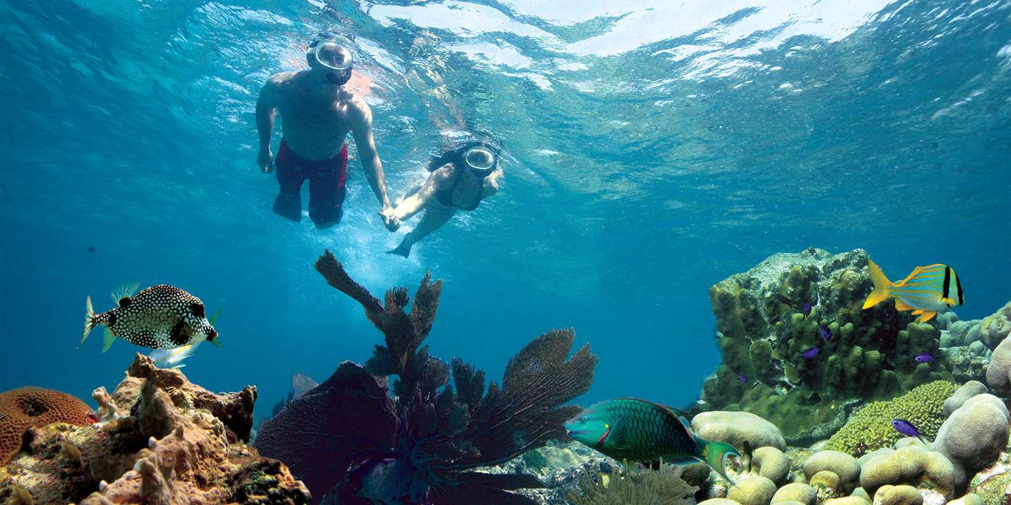 Key West Reef Snorkeling with Drinks and Sunset Option