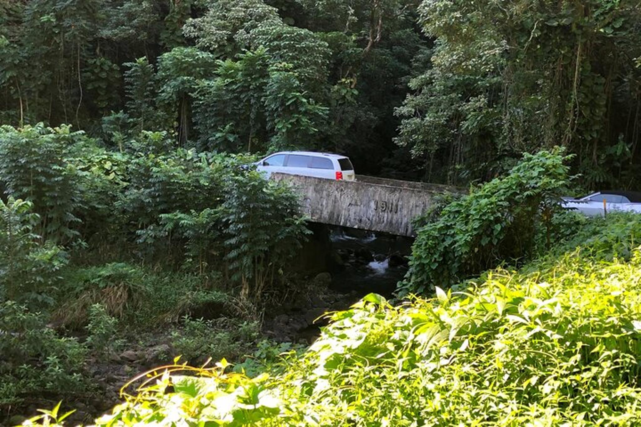 Maui Road to Hana Private Tour - Image 5