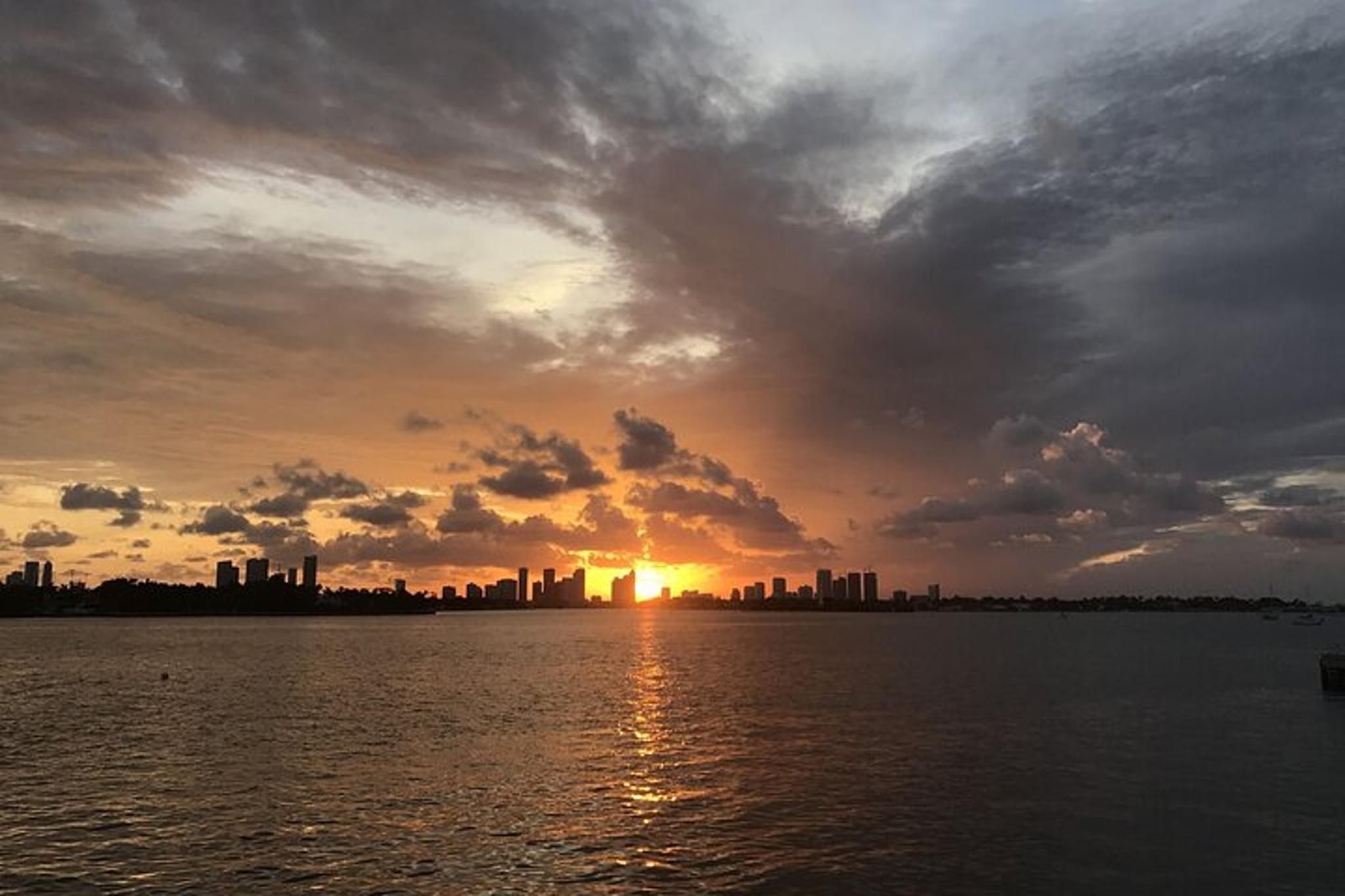 Miami Celebrity Homes and Biscayne Bay Cruise - Image 3