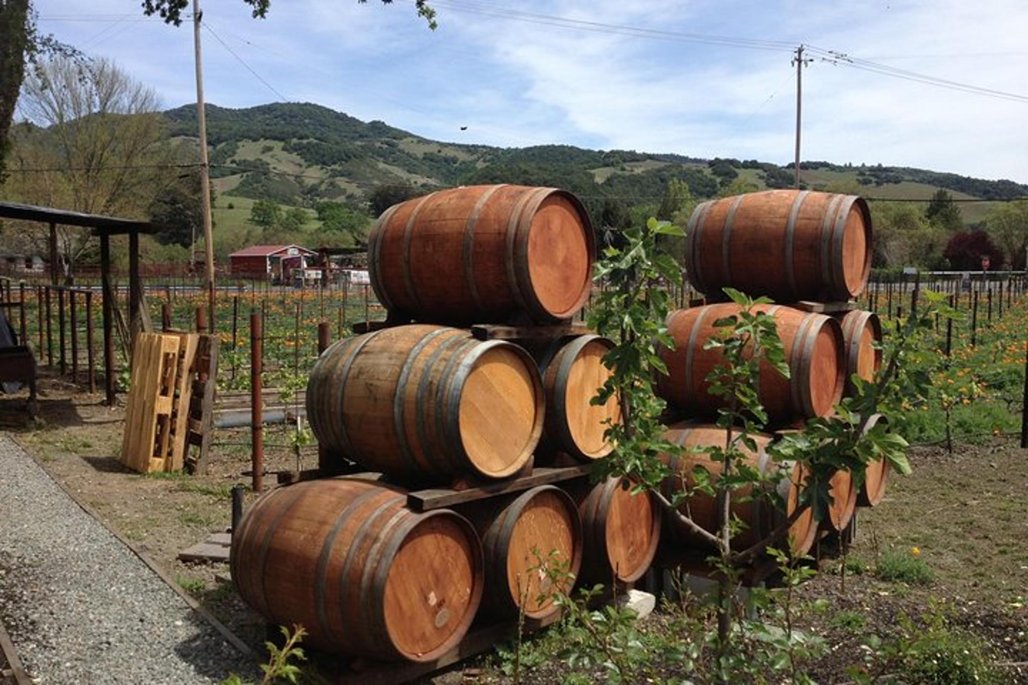 Napa Wine Country Tour in Crossover SUV - Image 5