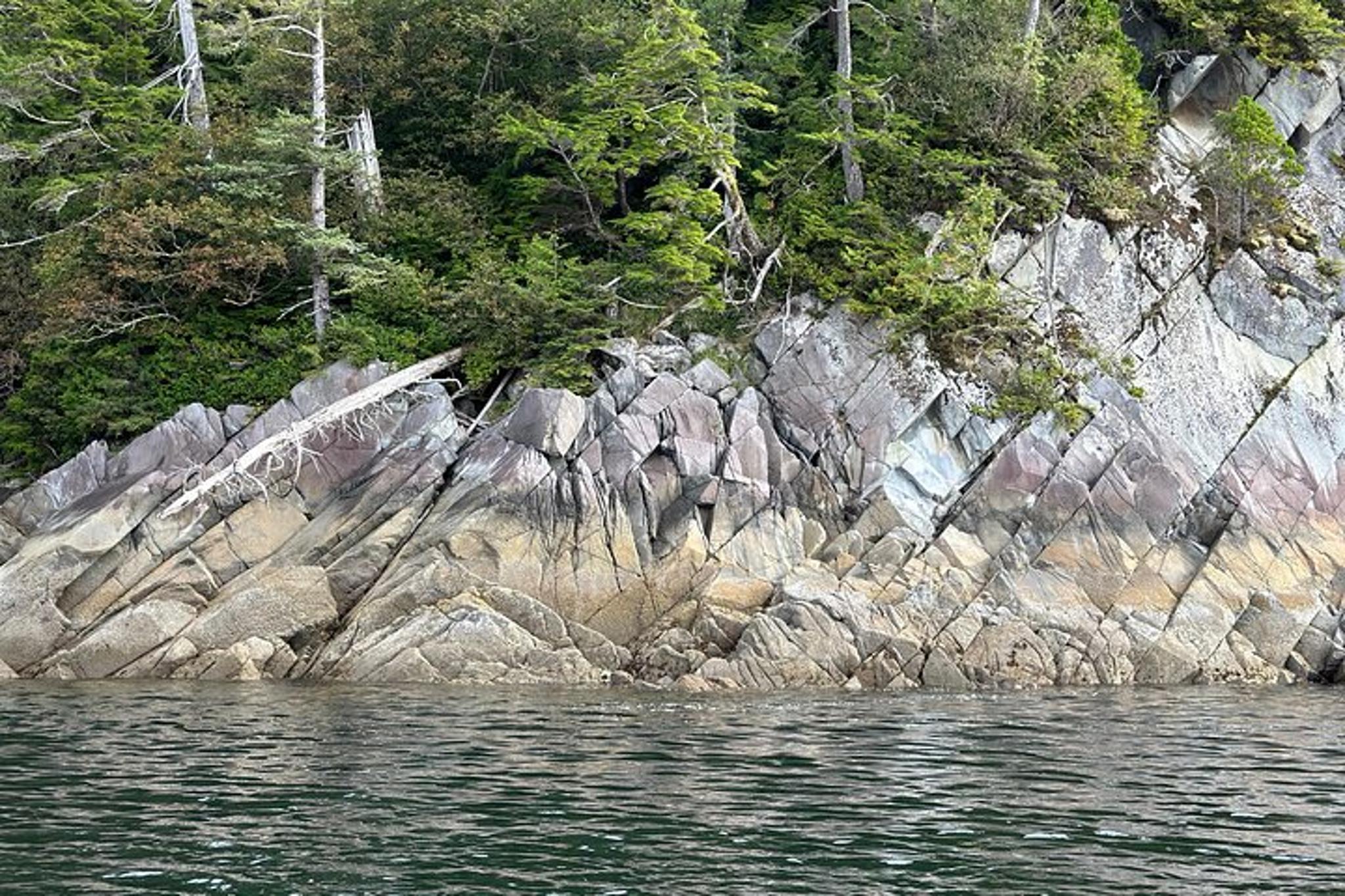 Ketchikan Salmon Fishing Charter - Image 3