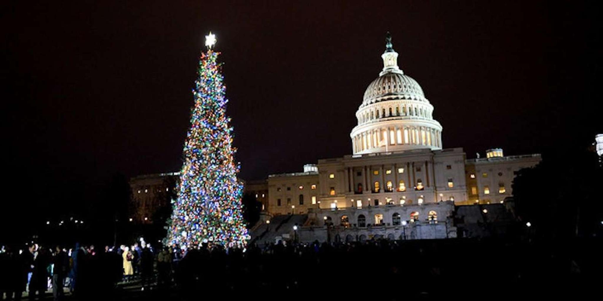 Washington, DC National Mall Moonlight Tour - Image 5