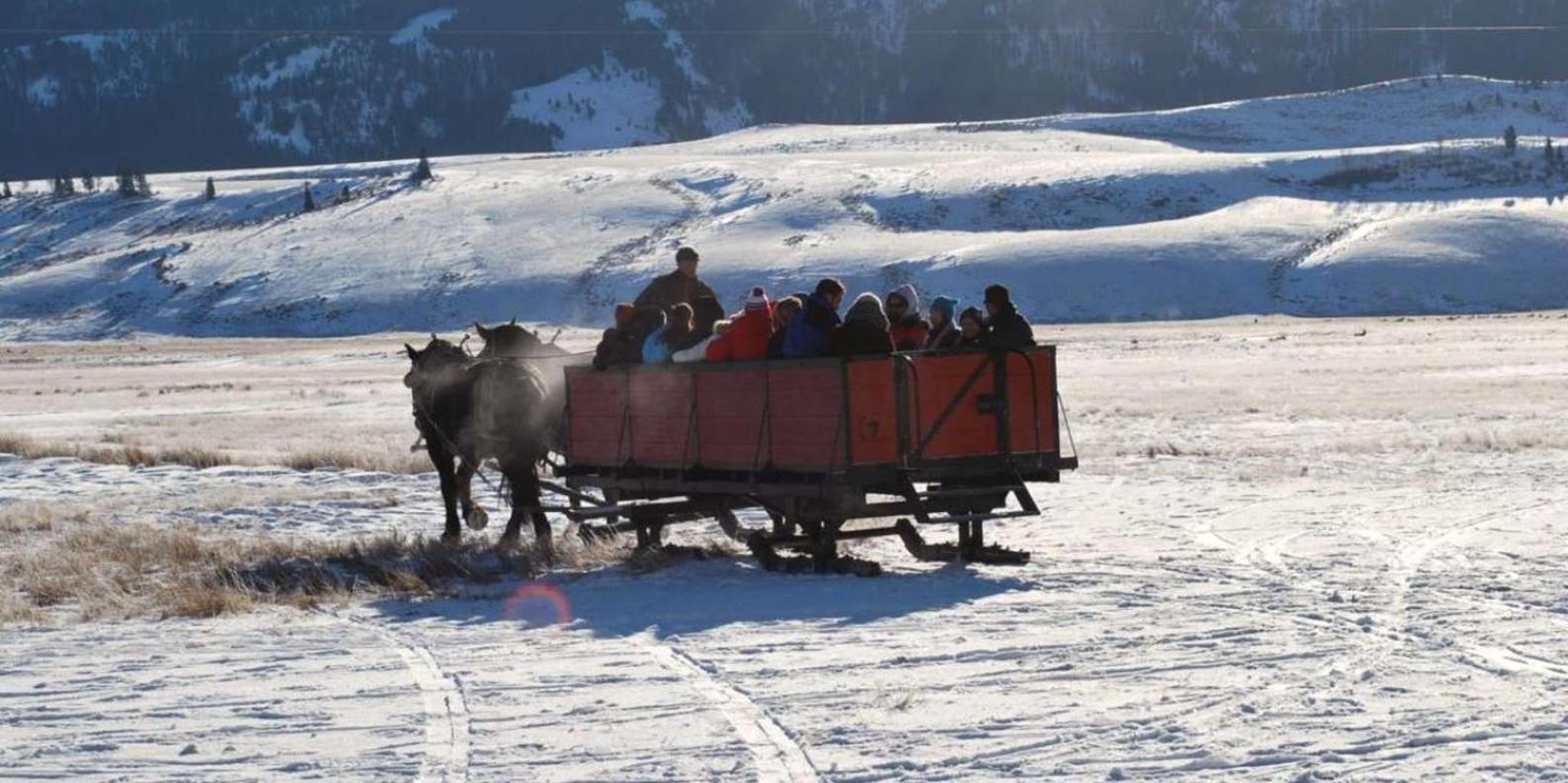Jackson Hole National Elk Refuge Sleigh Ride - Image 3