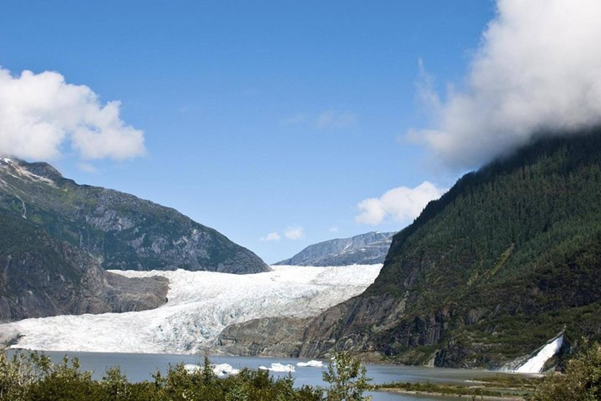 Juneau Mendenhall Glacier Trolley Tour 3 hr - Image 3