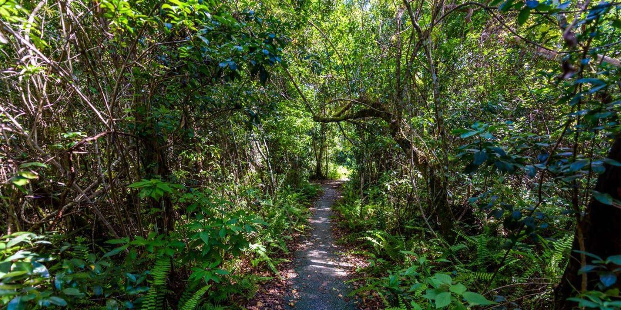 Miami Everglades Private Tour 4 hr - Image 2