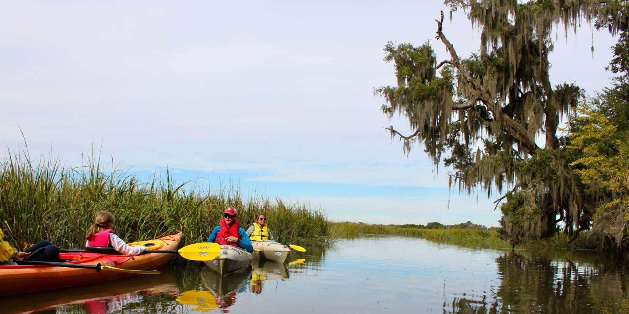 Hilton Head Private Outback Kayak Tour