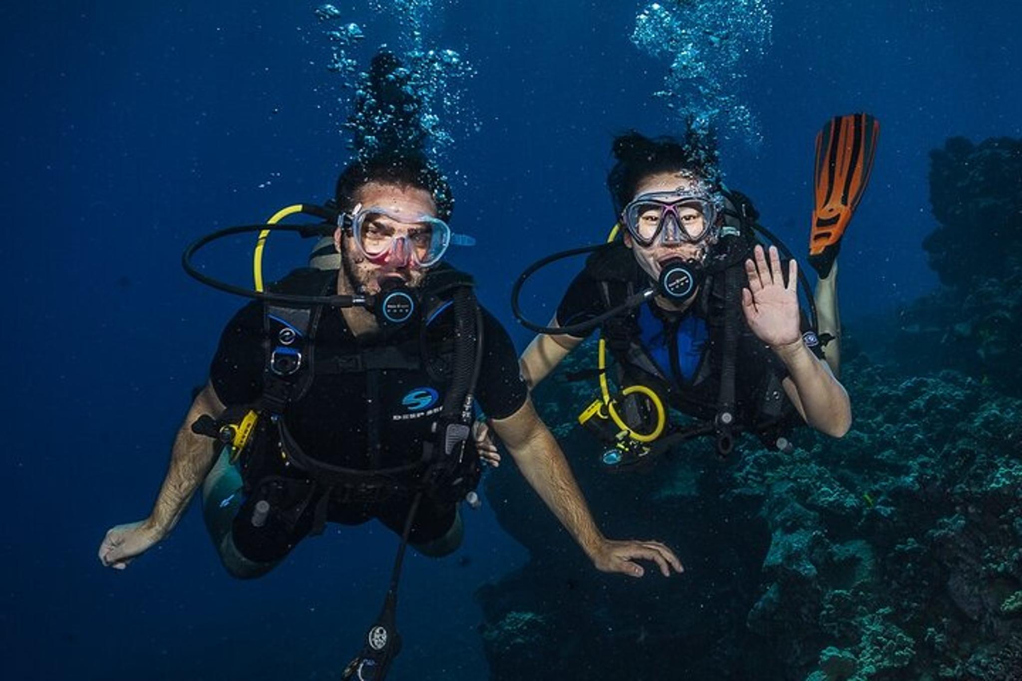 Lahaina Shark and Turtle Dive for Certified Divers - Image 3