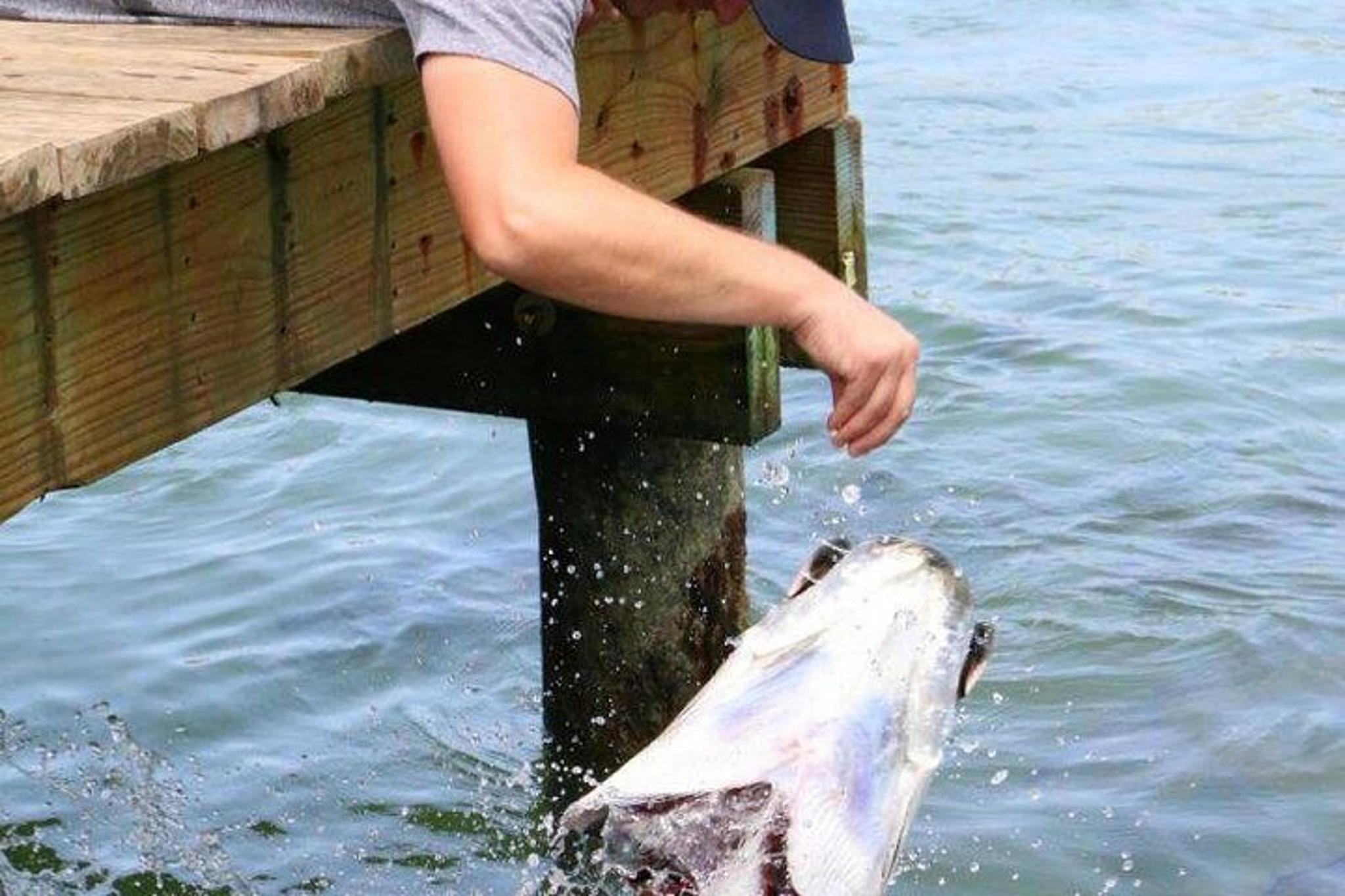 Key Largo Coral Reef Park Tour and Sunset Celebration - Image 5