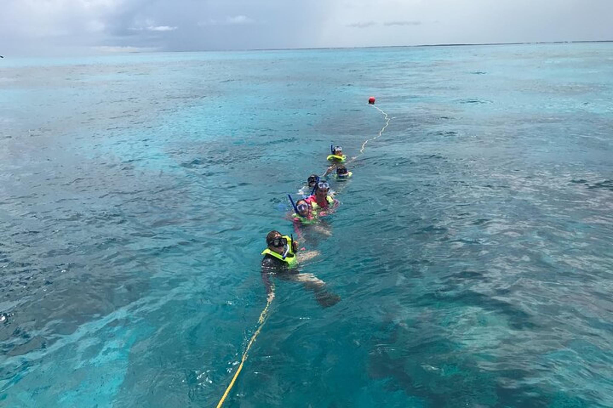 Key Largo Snorkeling Tour for 6 People - Image 2