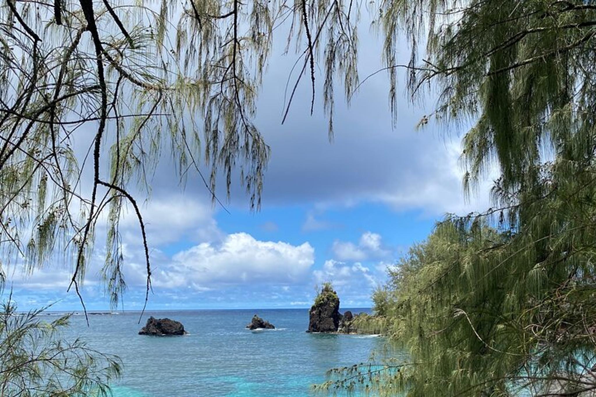 Lahaina Surf Lessons - Image 4