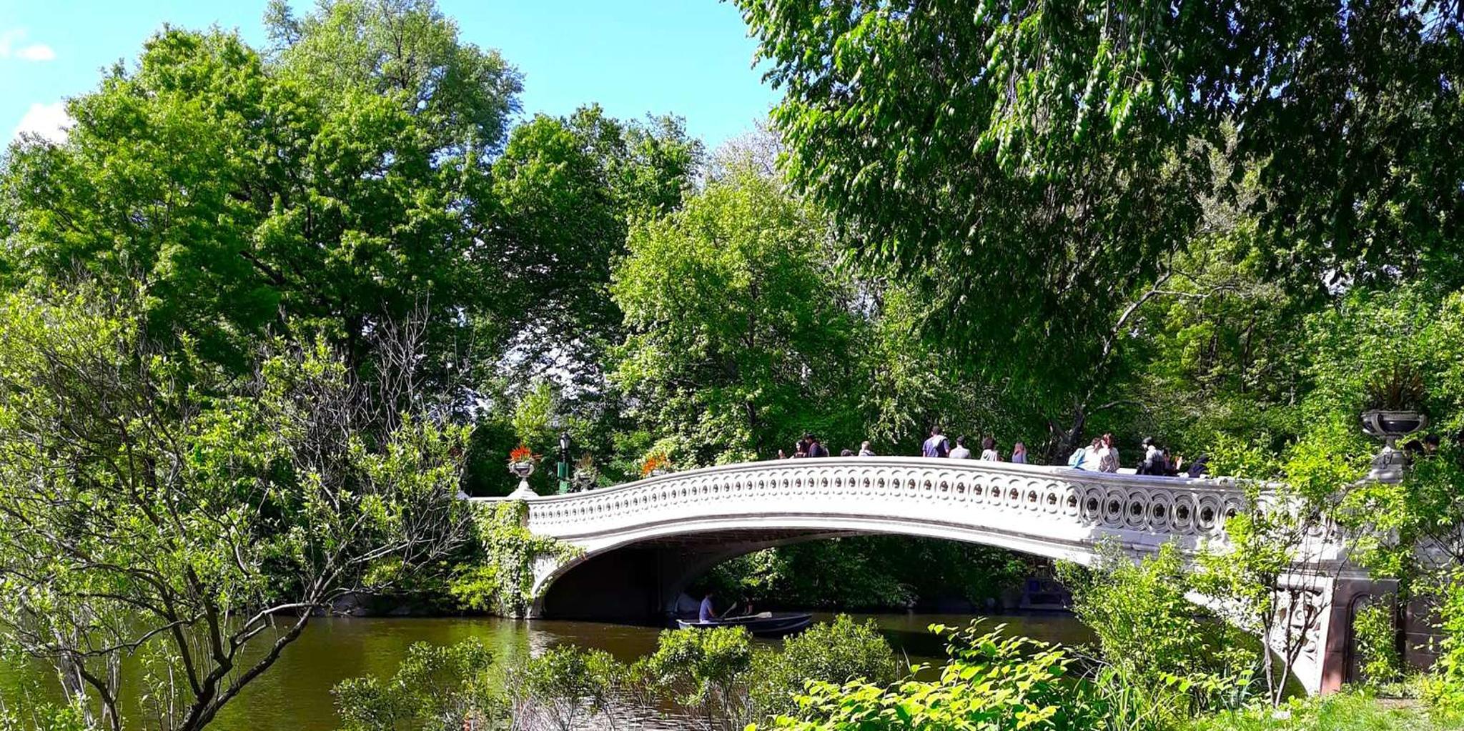 New York Central Park Walking Tour - Image 5
