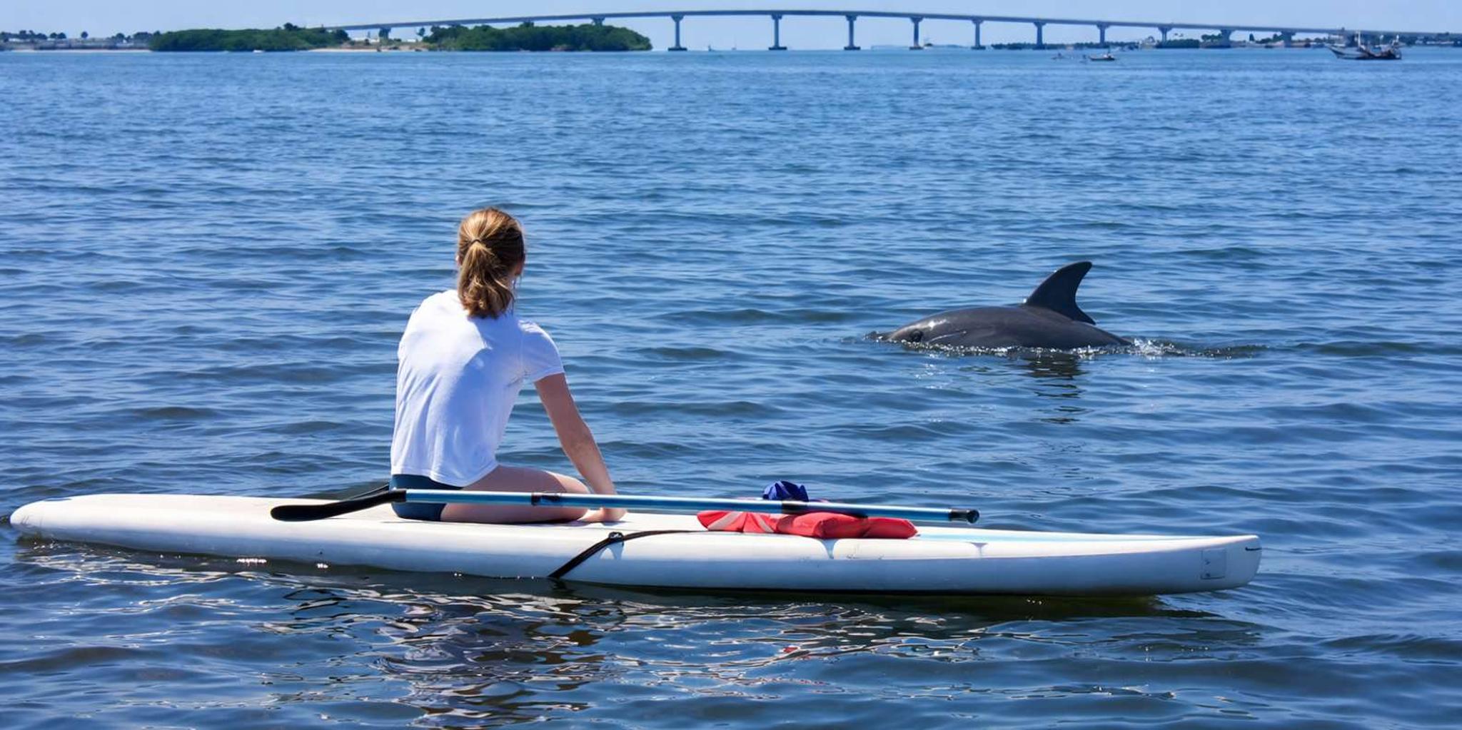 Ocala Clear Kayak or Paddleboard Manatee Adventure - Image 6