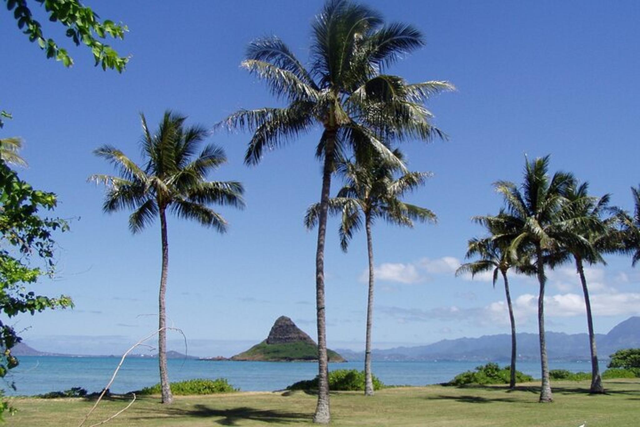O'ahu Circle Island Tour for Couples - Image 4