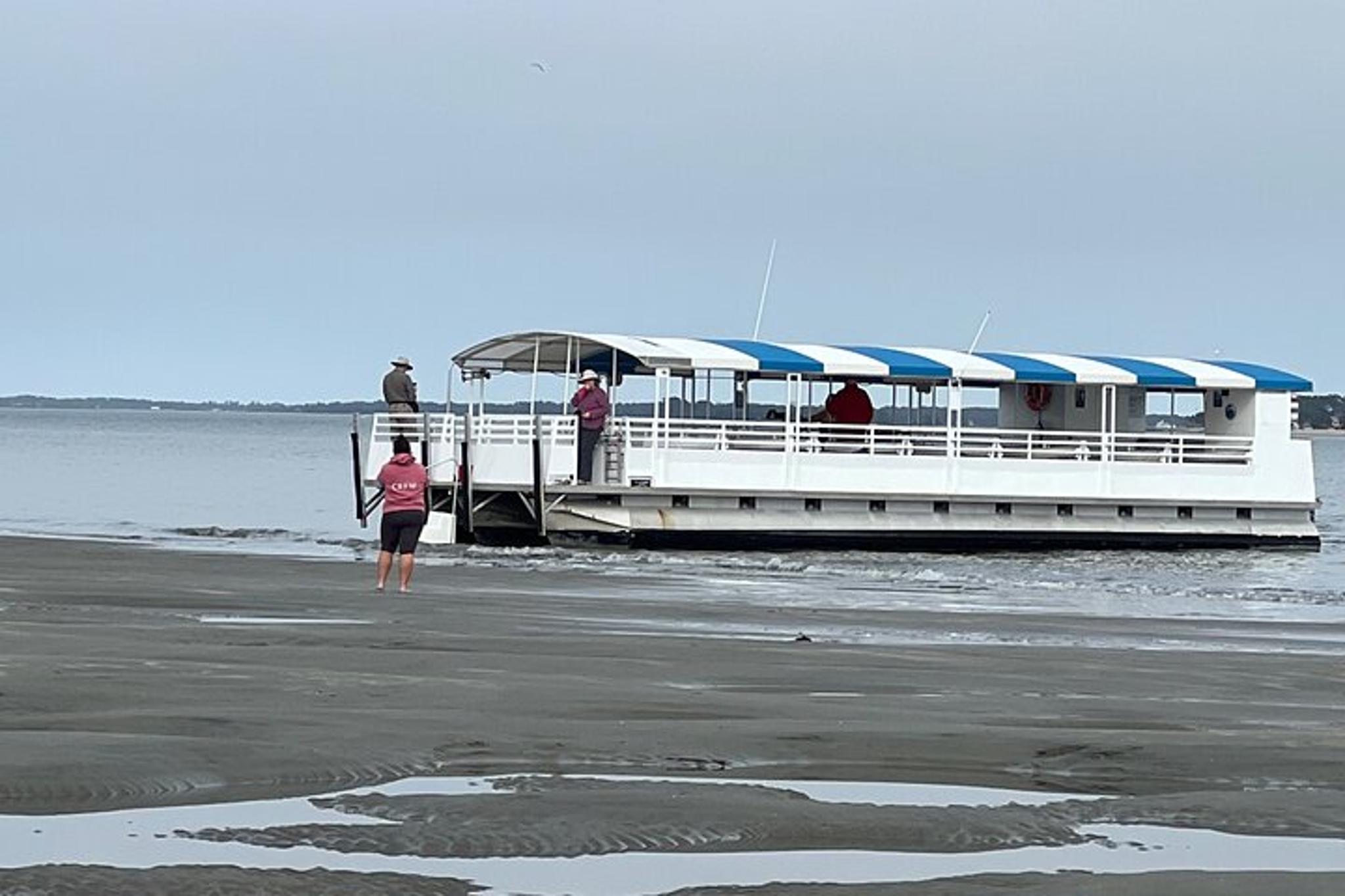 Hilton Head Dolphin Tour with Disappearing Island Stop - Image 4