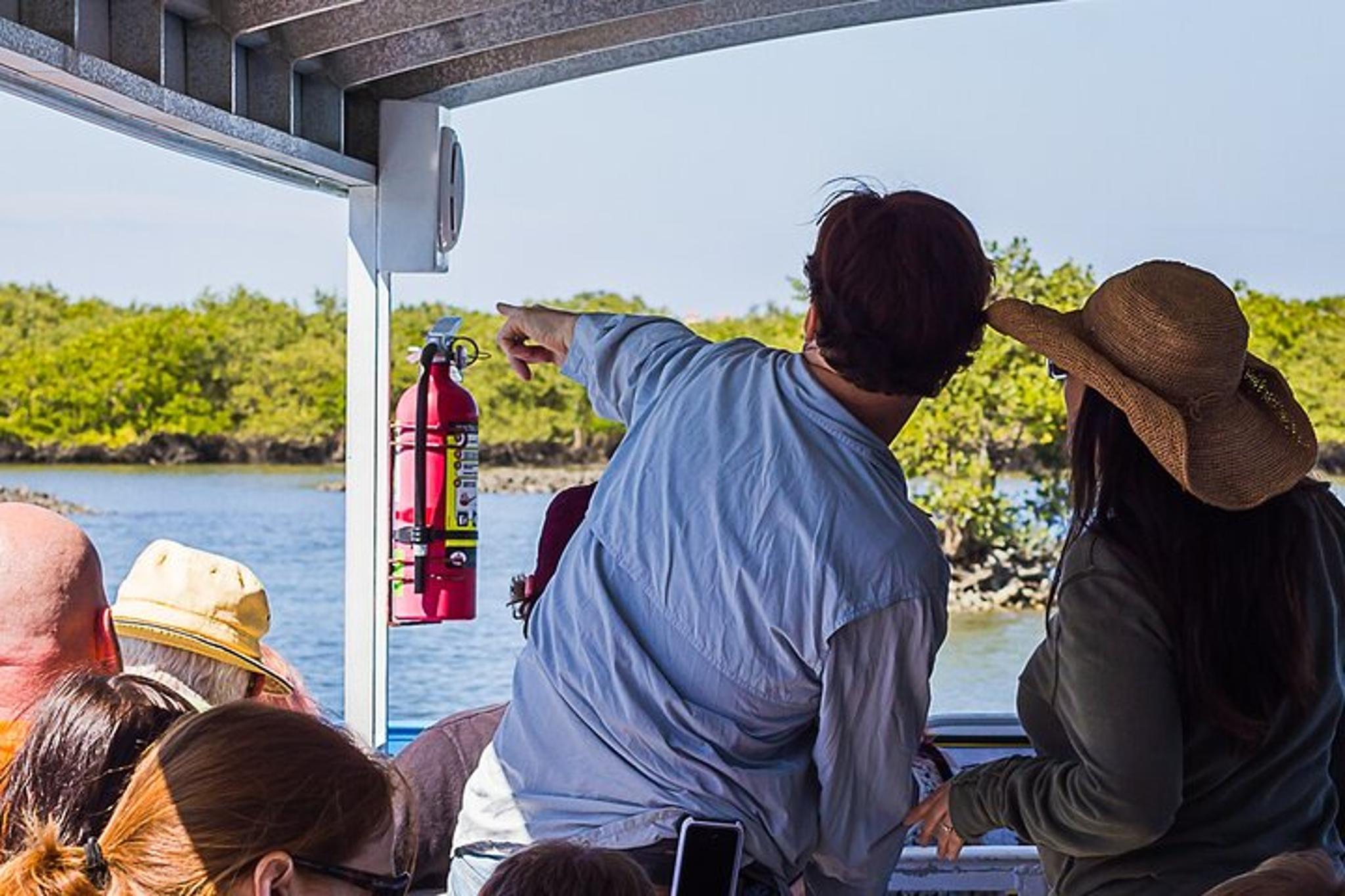 Indian River Lagoon Dolphin Boat Tour
