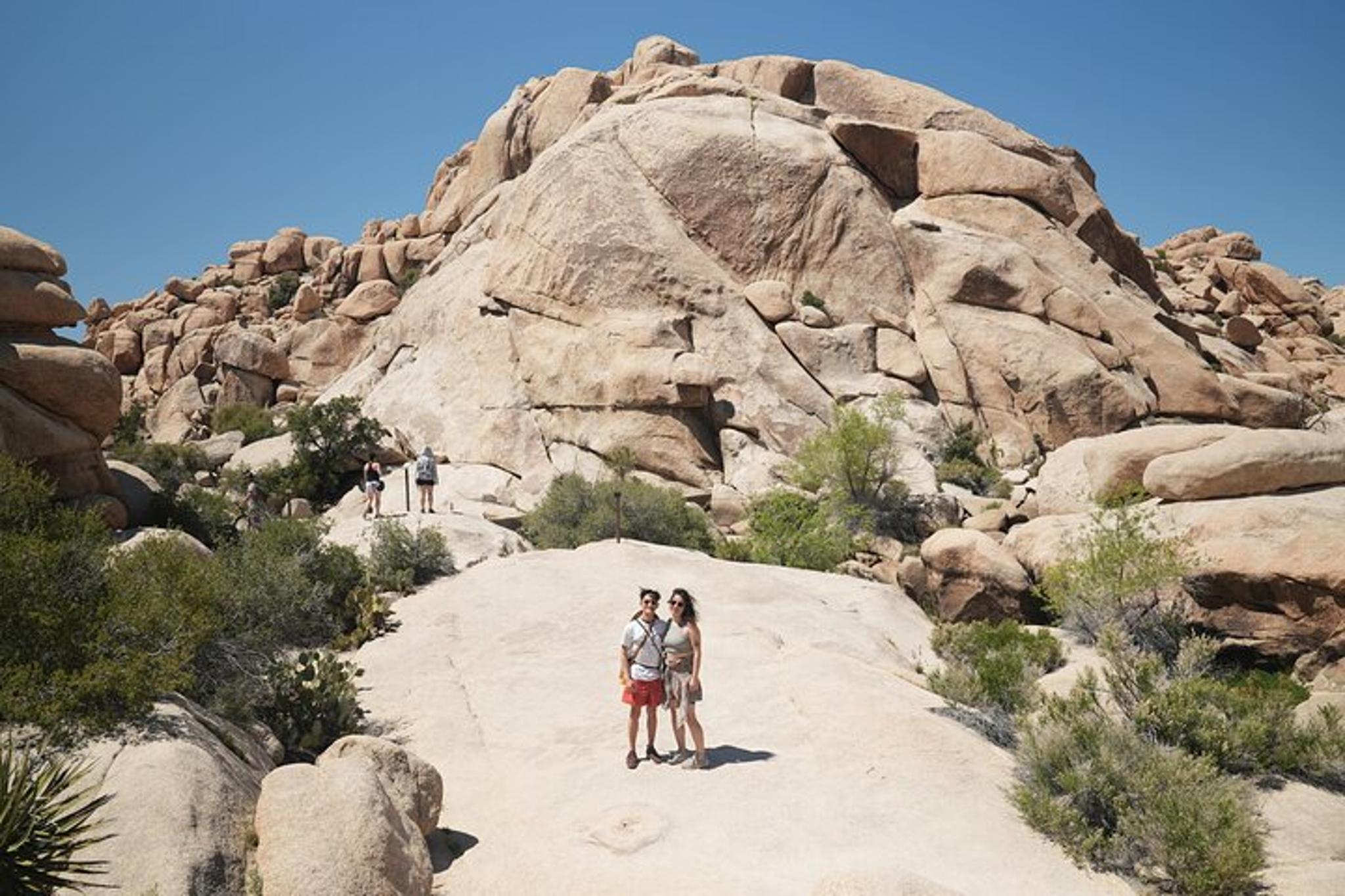 Los Angeles Joshua Tree National Park Private Tour - Image 3