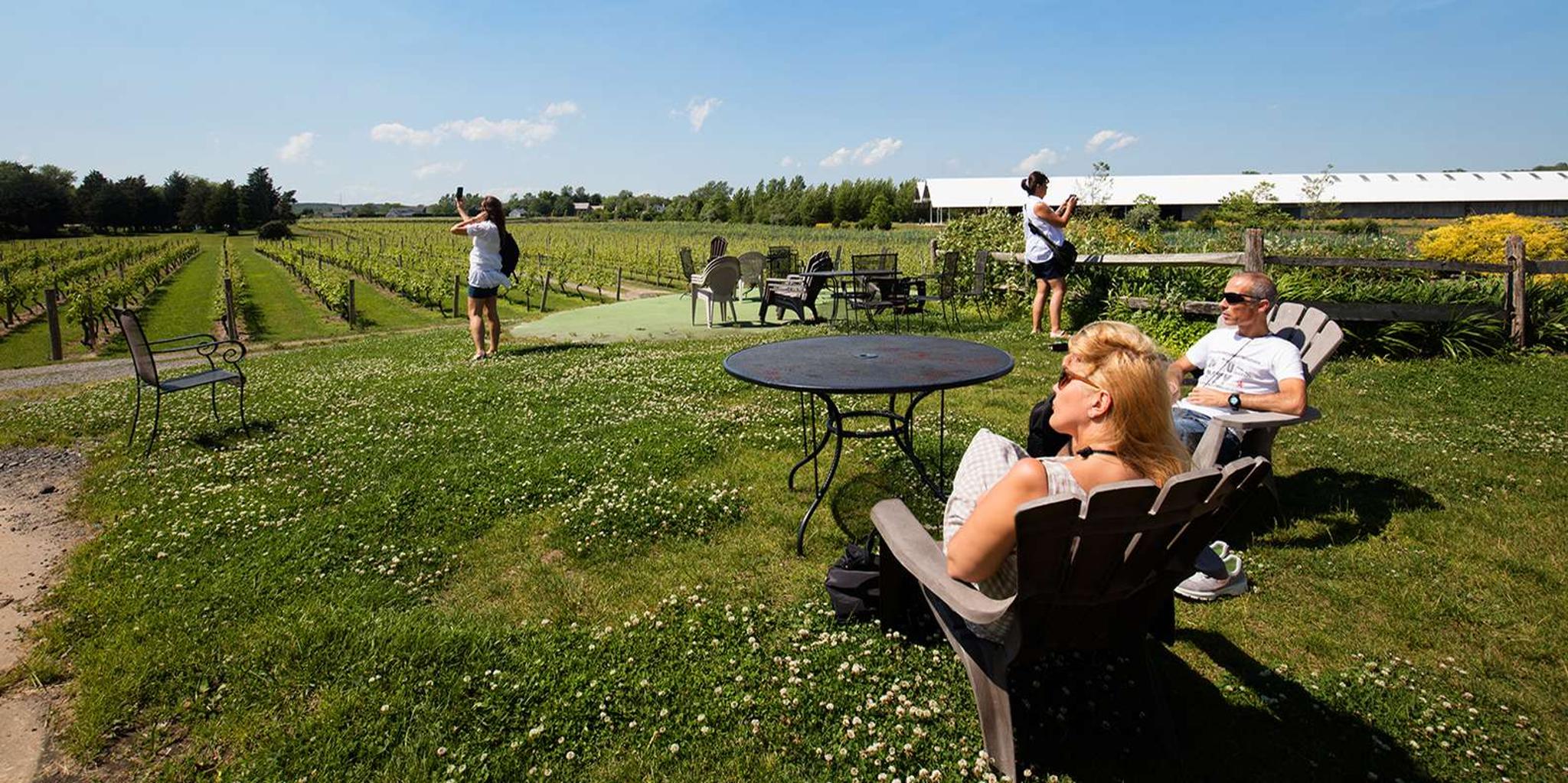 New York City Hamptons and Outlet Shopping Day Trip - Image 6