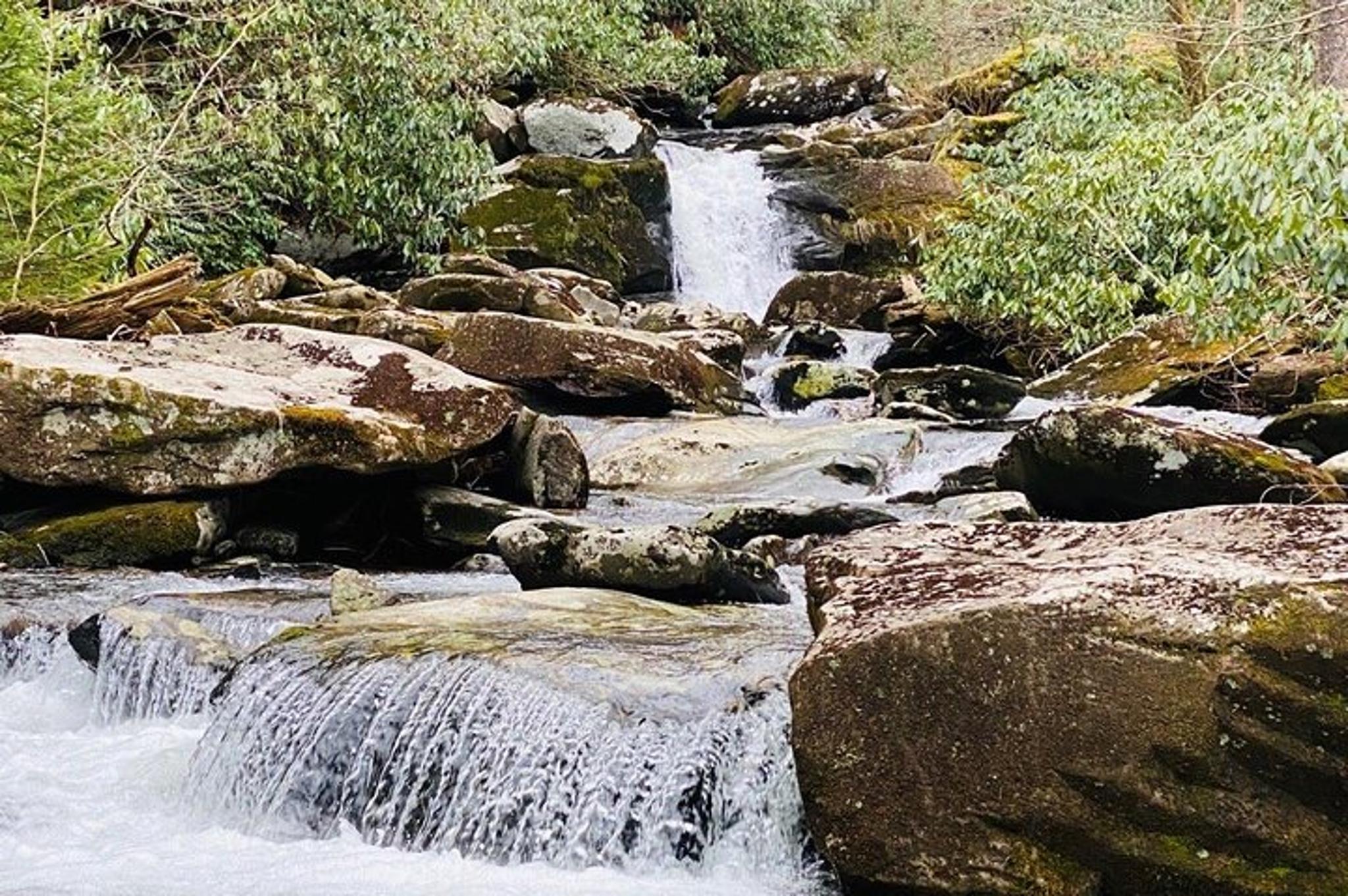 Great Smoky Mountains Hiking Tour - Image 2