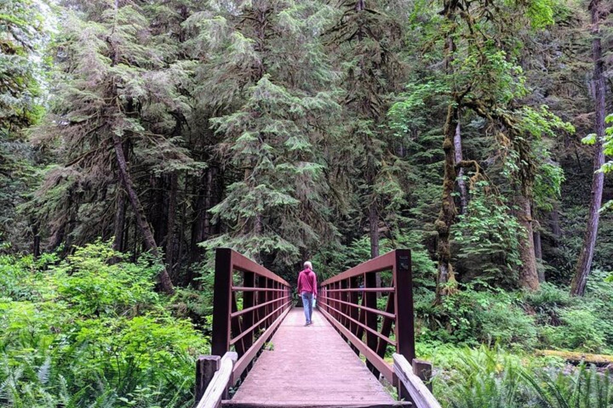 Olympic National Park Private Day Tour with Lunch - Image 5
