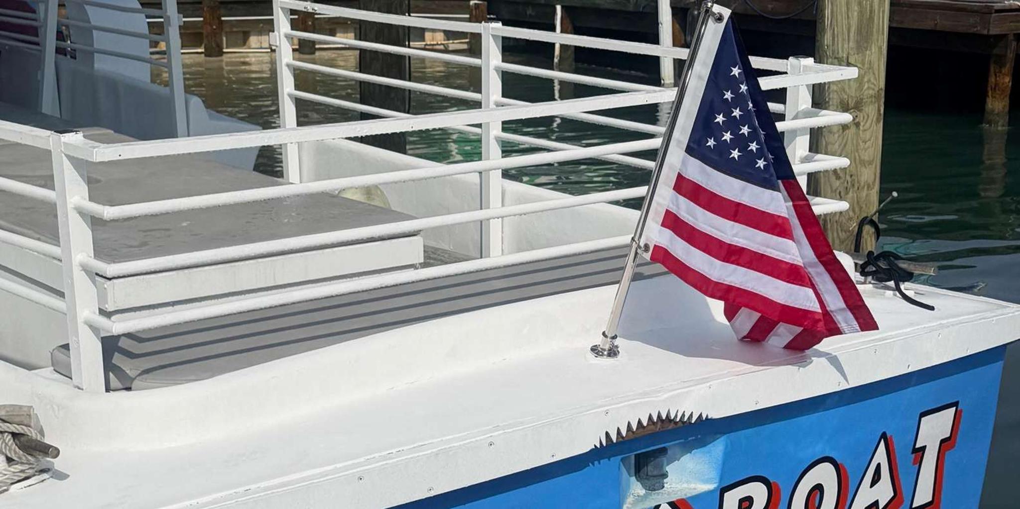 Destin Dolphin Watching and Sunset Cruise - Image 5