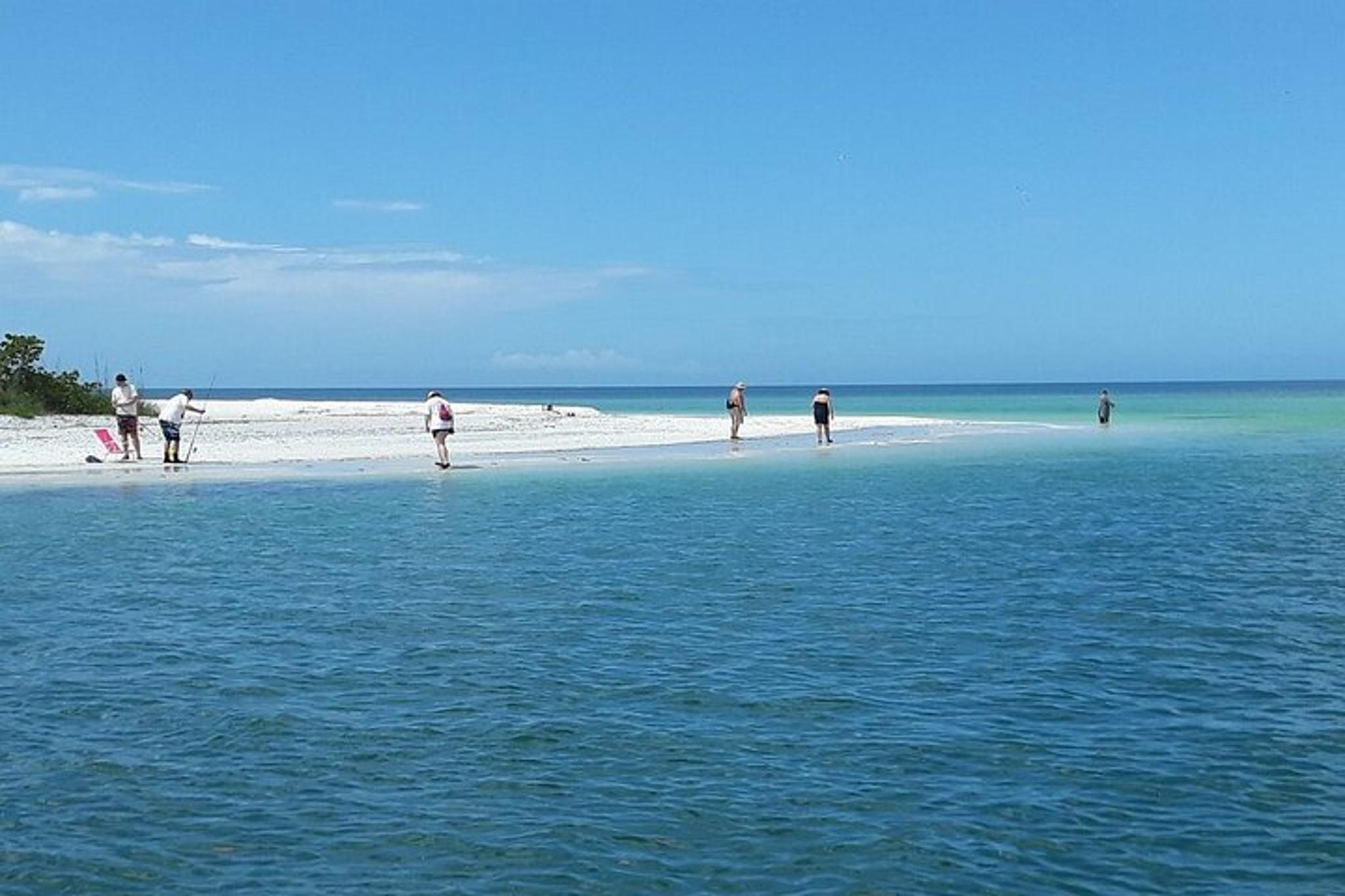 Everglades Shell Wildlife Eco Excursion - Image 2