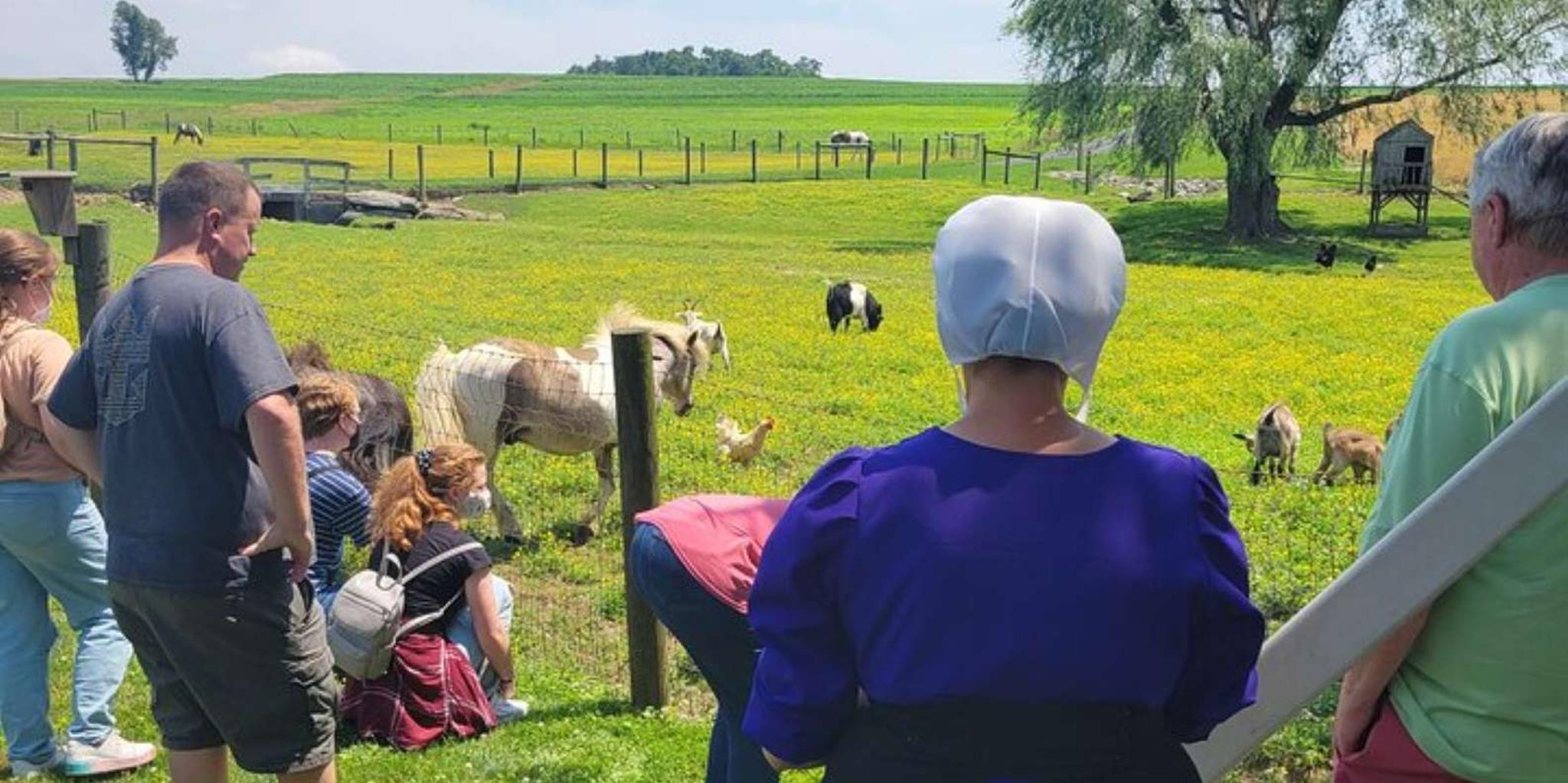 Lancaster Amish Immersion Experience 3 hr - Image 3