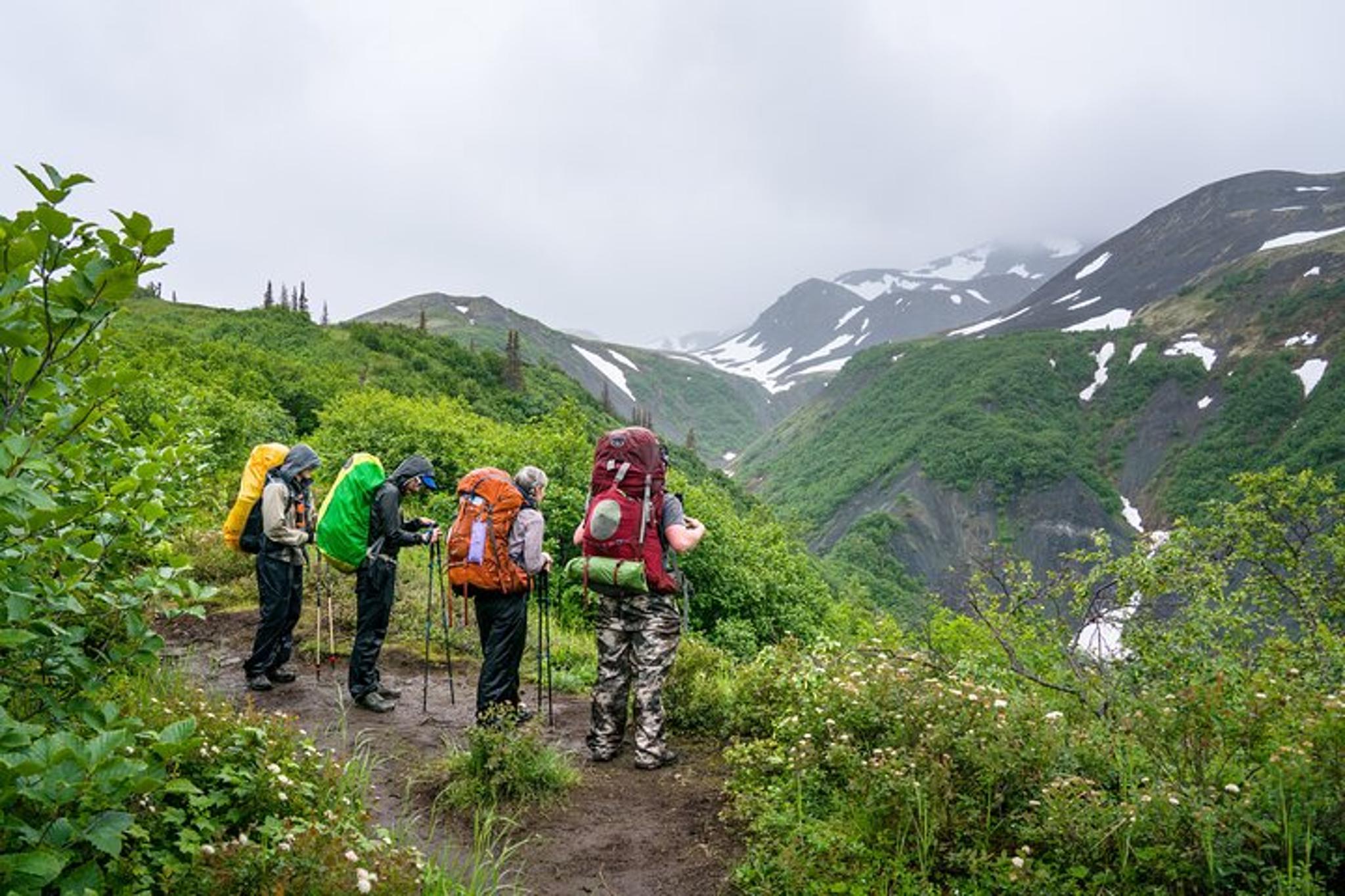Anchorage K'esugi Ridge Backpacking Tour 4 Days - Image 5