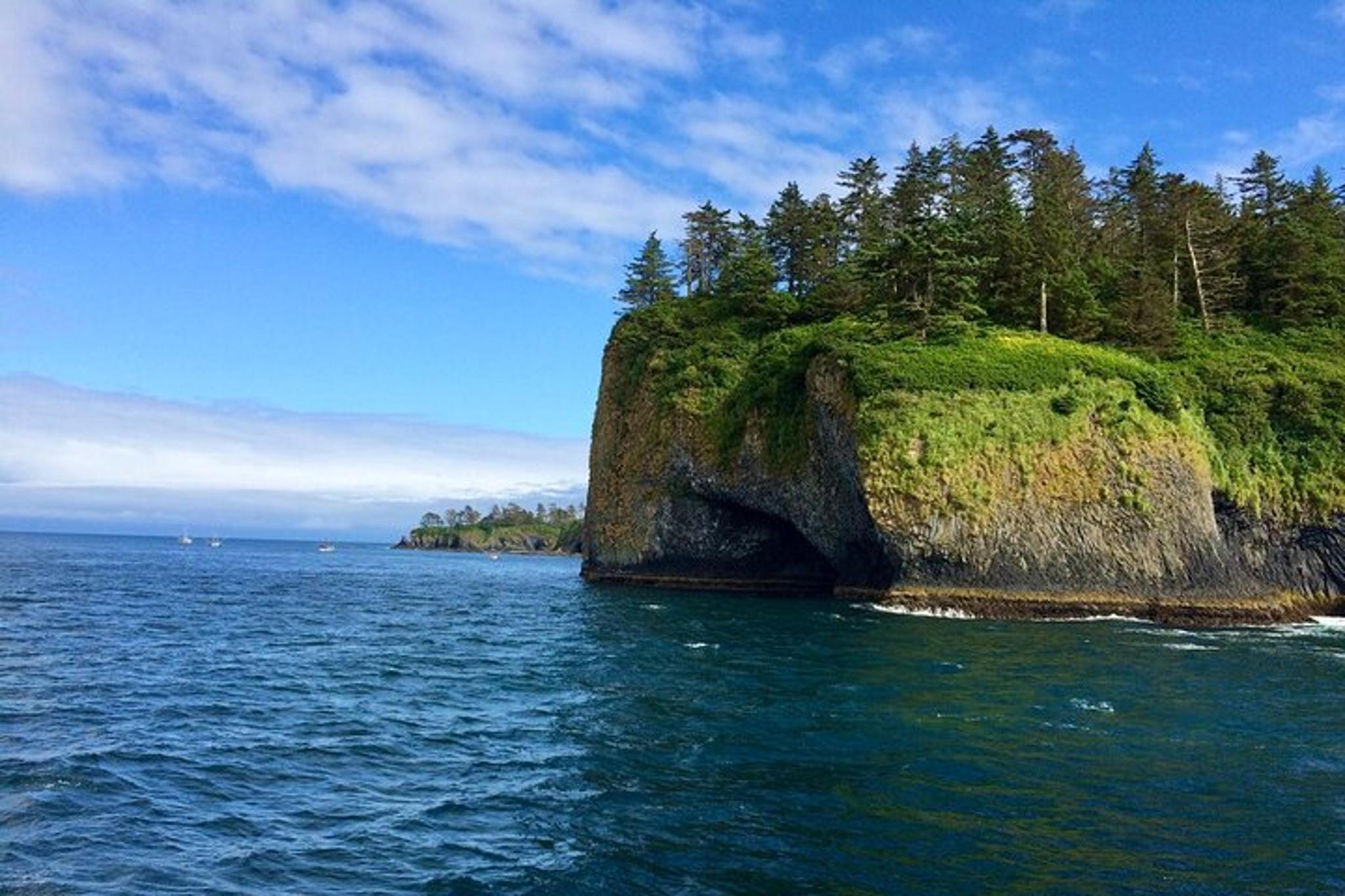 Sitka Scenic Wildlife Boat Tour - Image 5