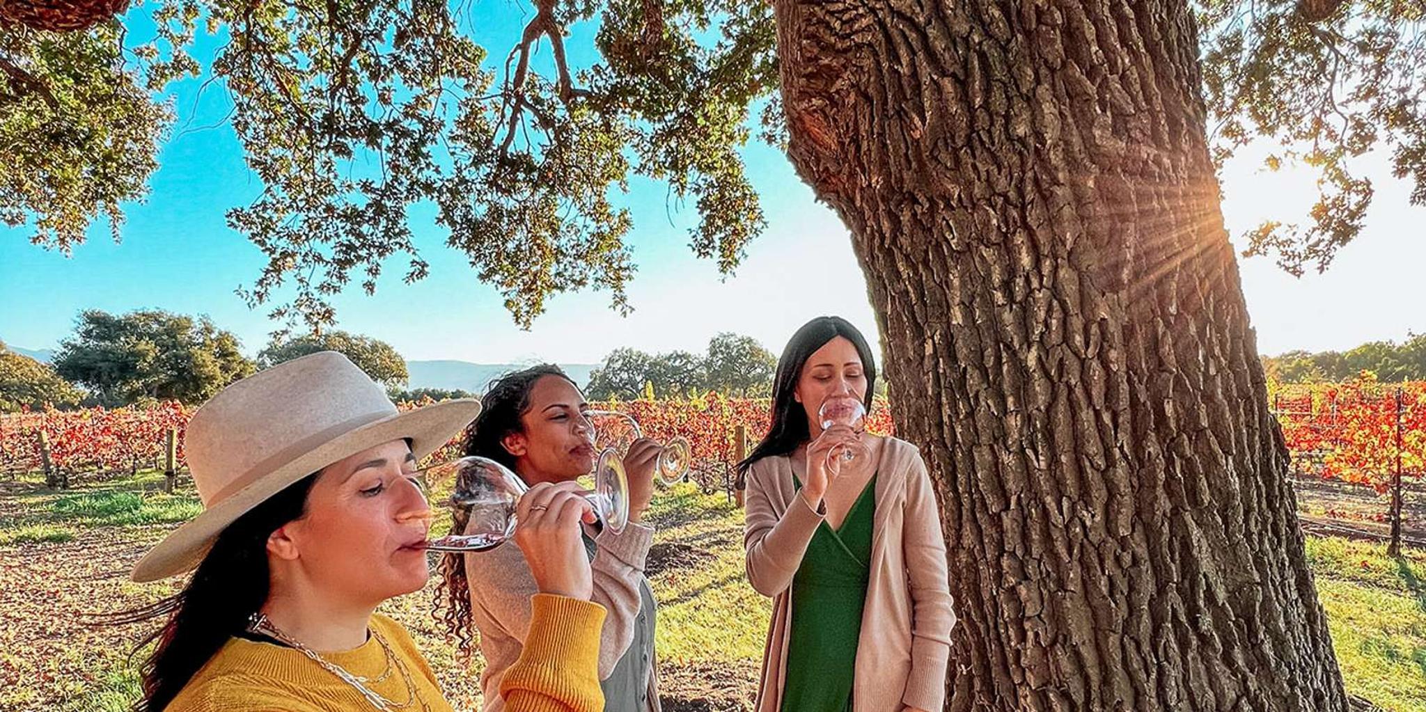 Santa Ynez Private Wine Tour